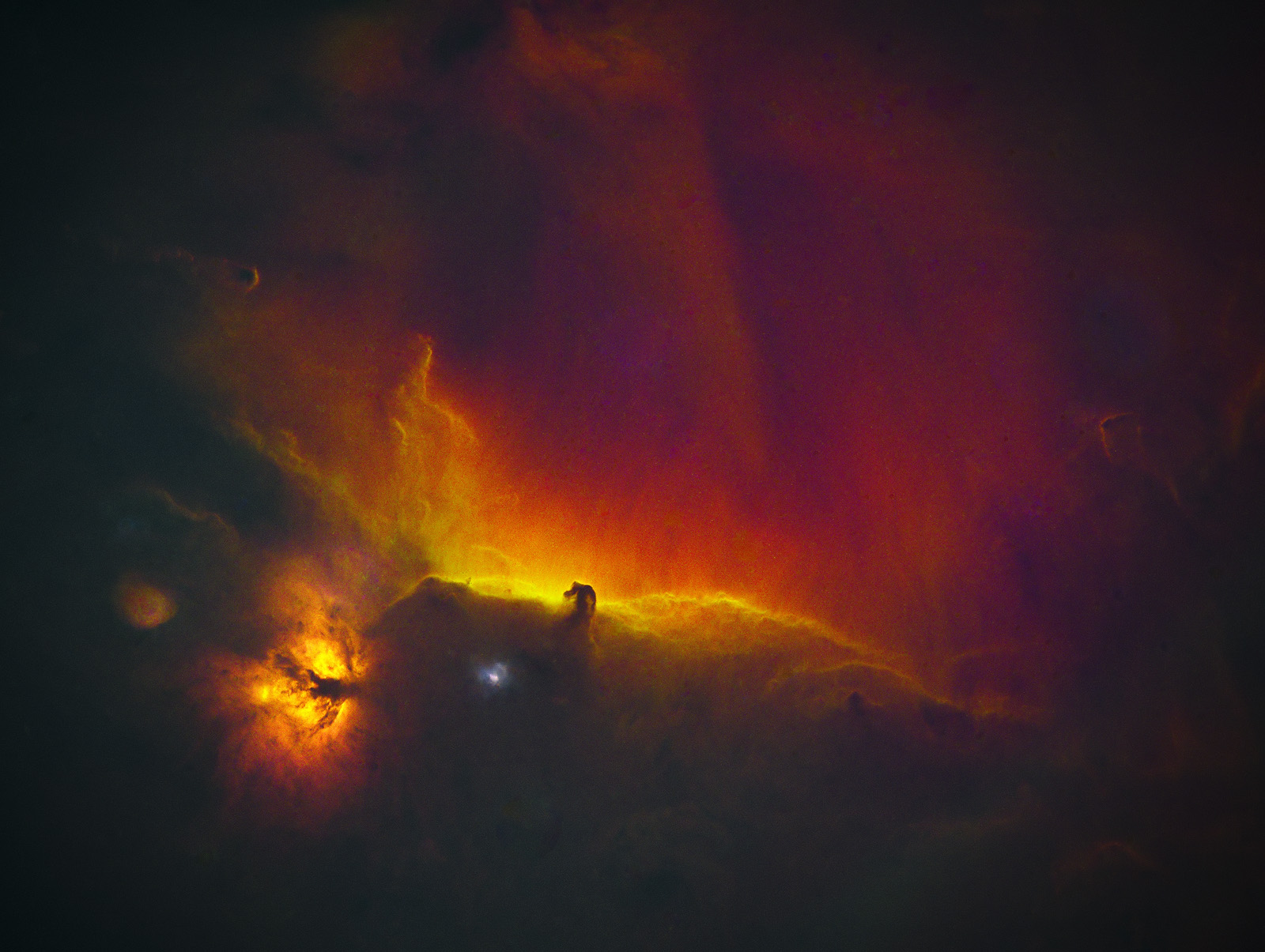 Horse Head & Flame Nebulas