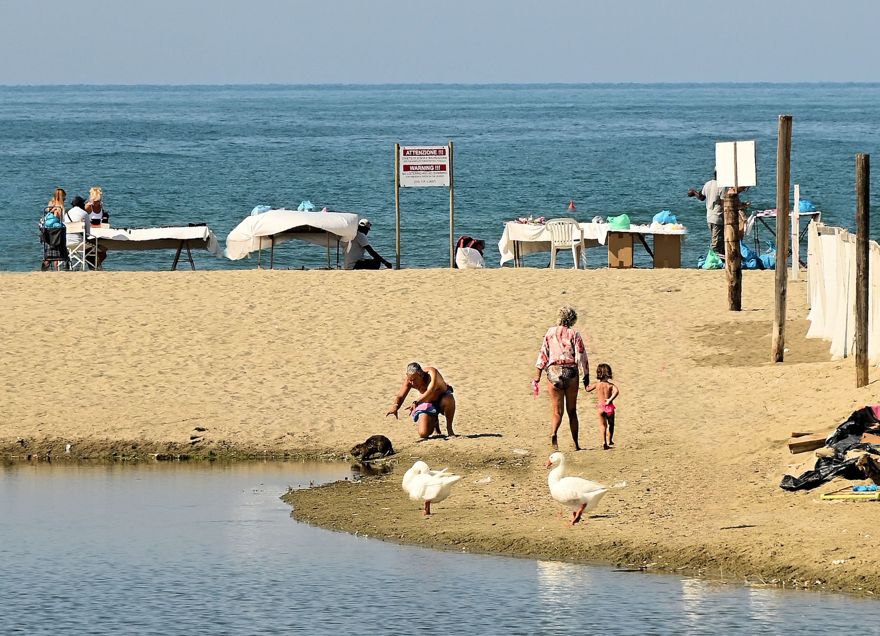 In the beginning it was chaos...