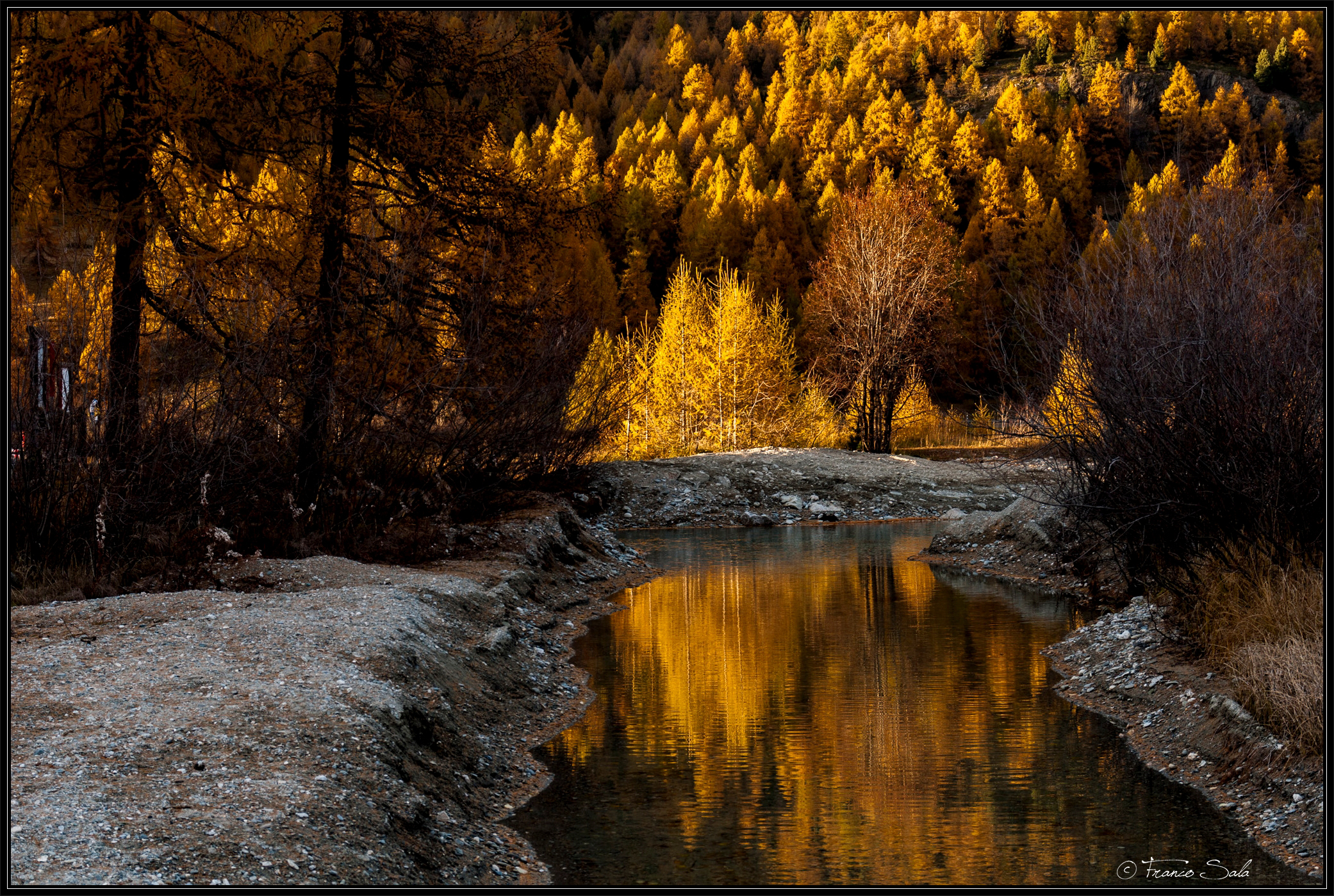 The colors of autumn