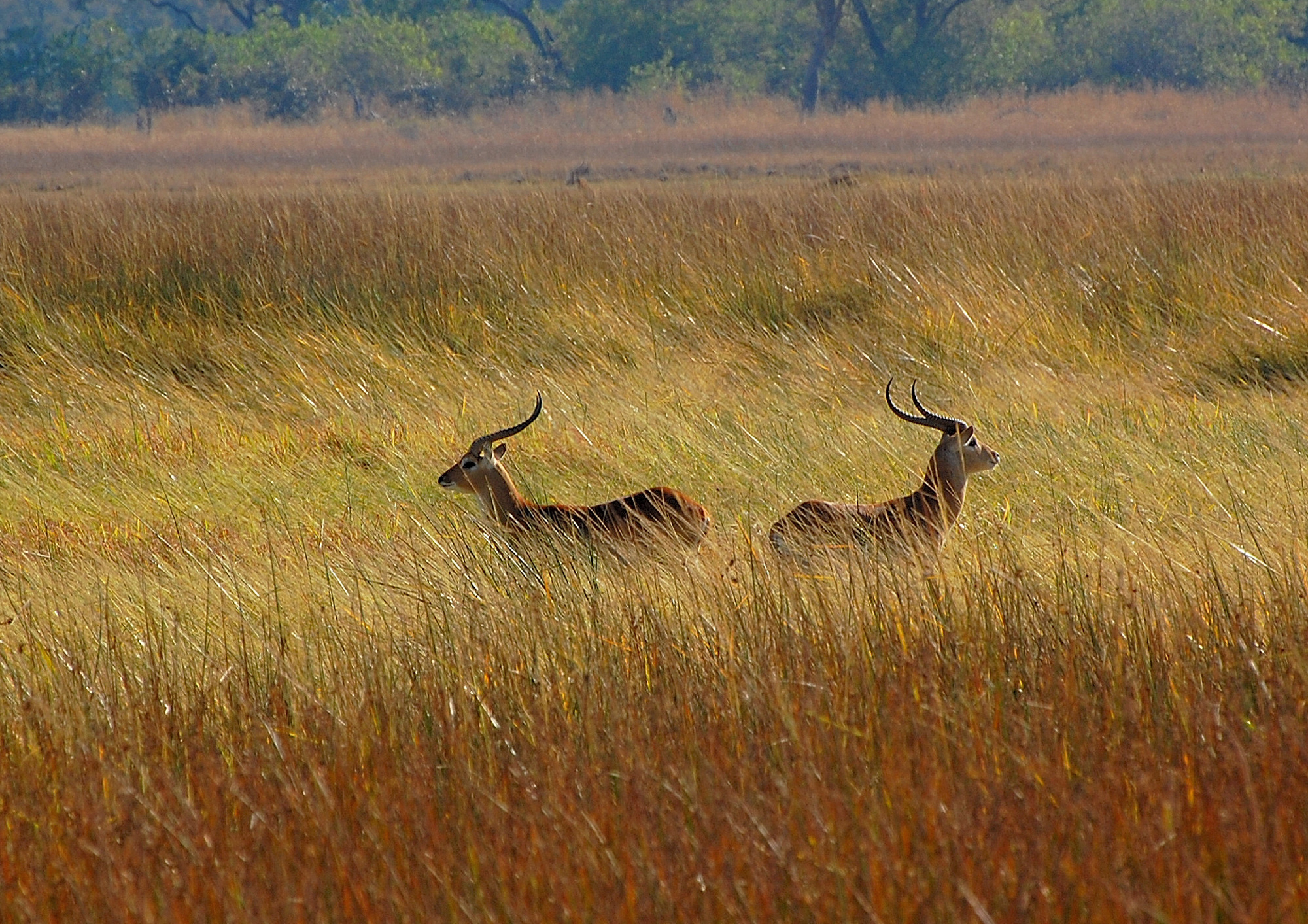 Look over my shoulder... yes but you too...