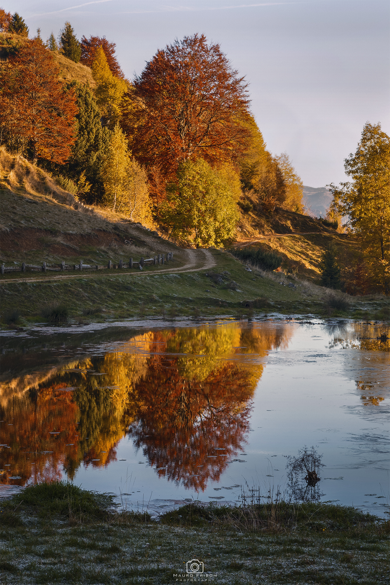 Reflections