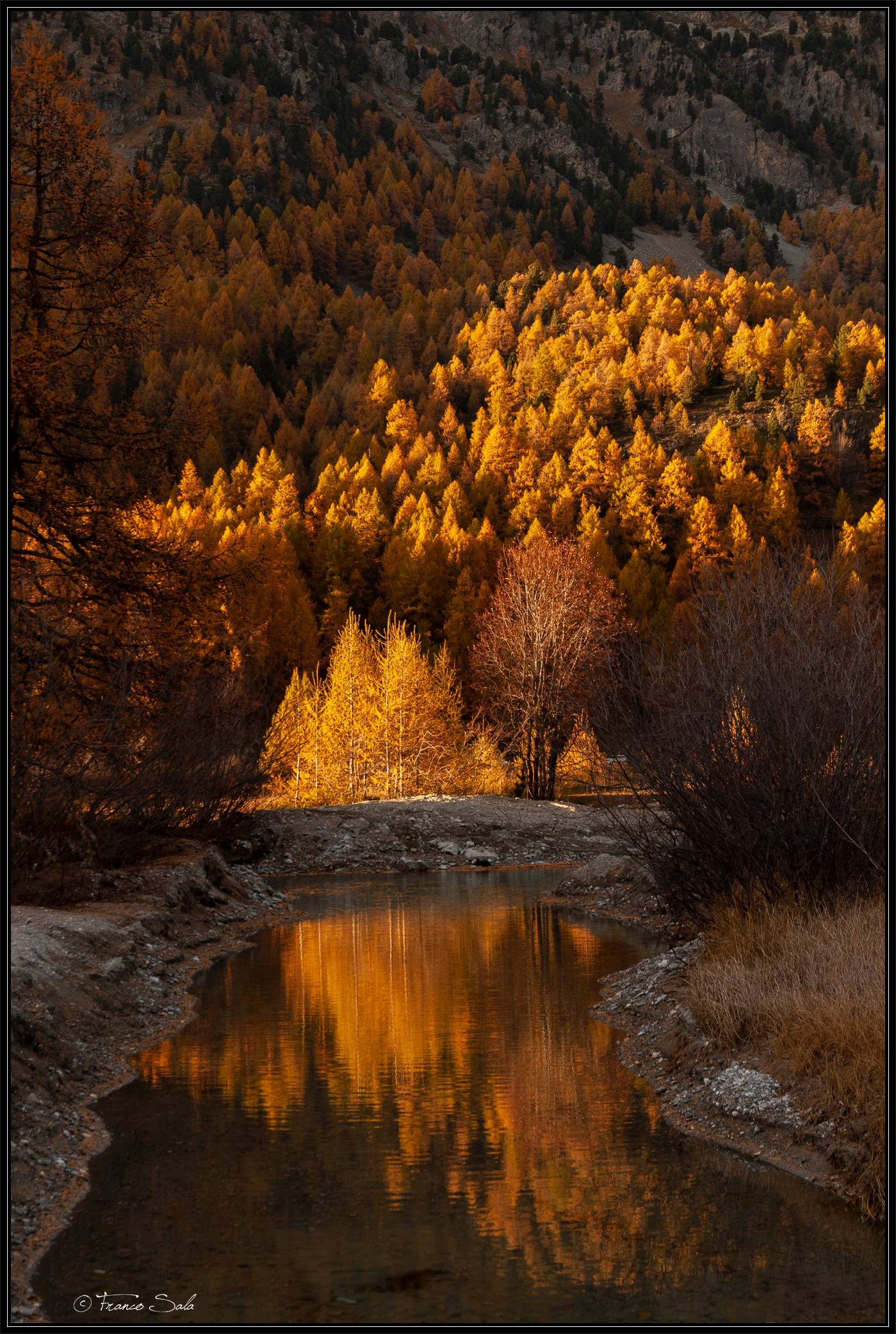 The colors of autumn