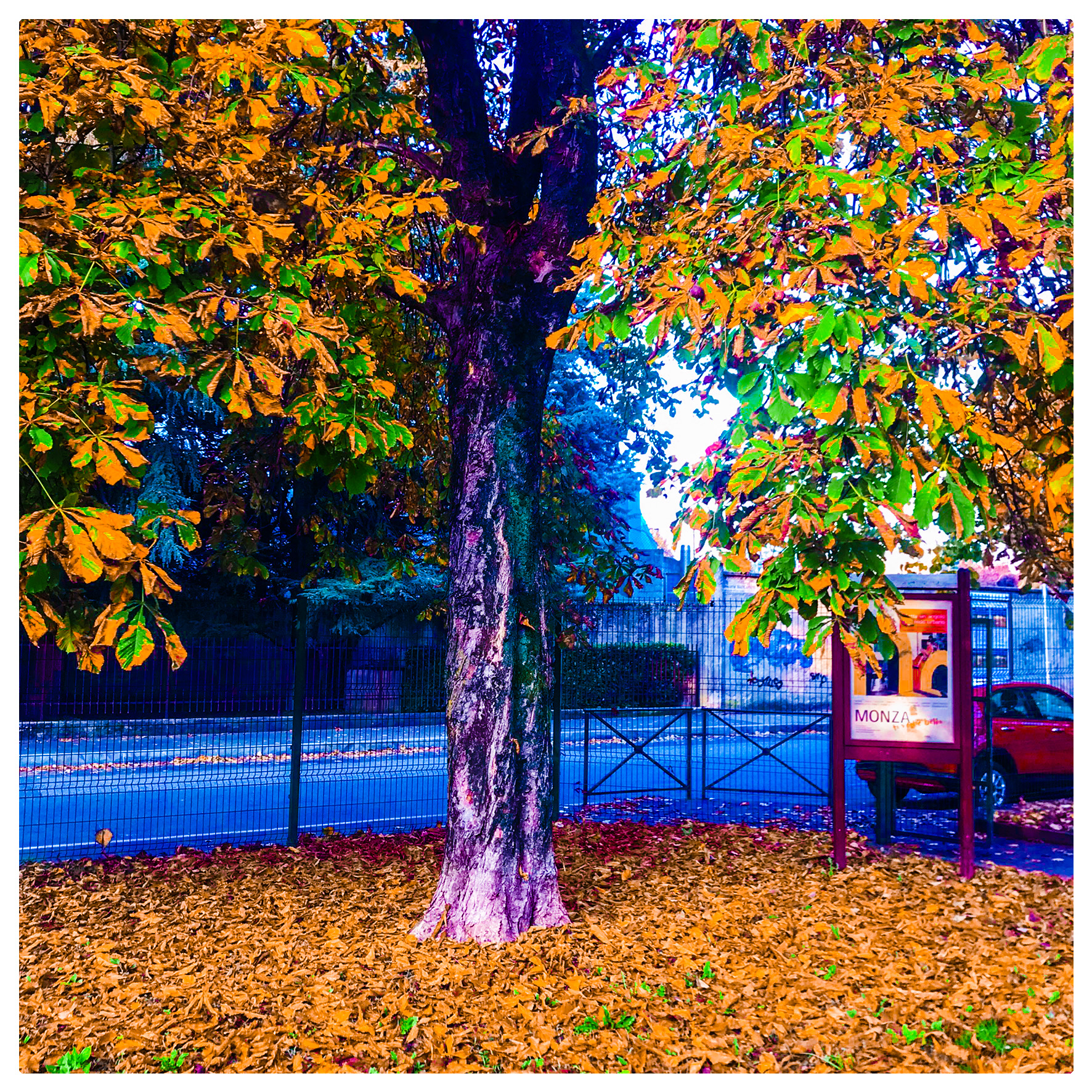 Monza Colors