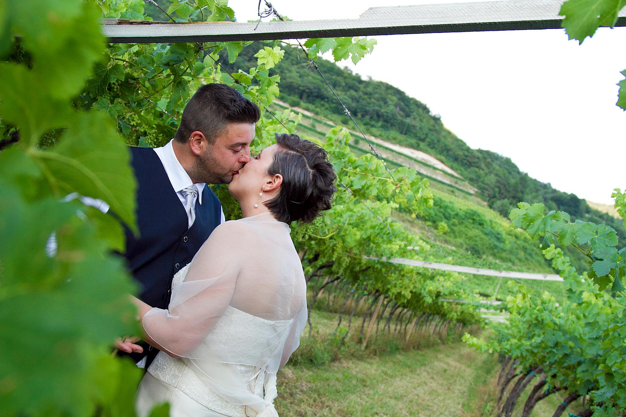 vineyard wedding