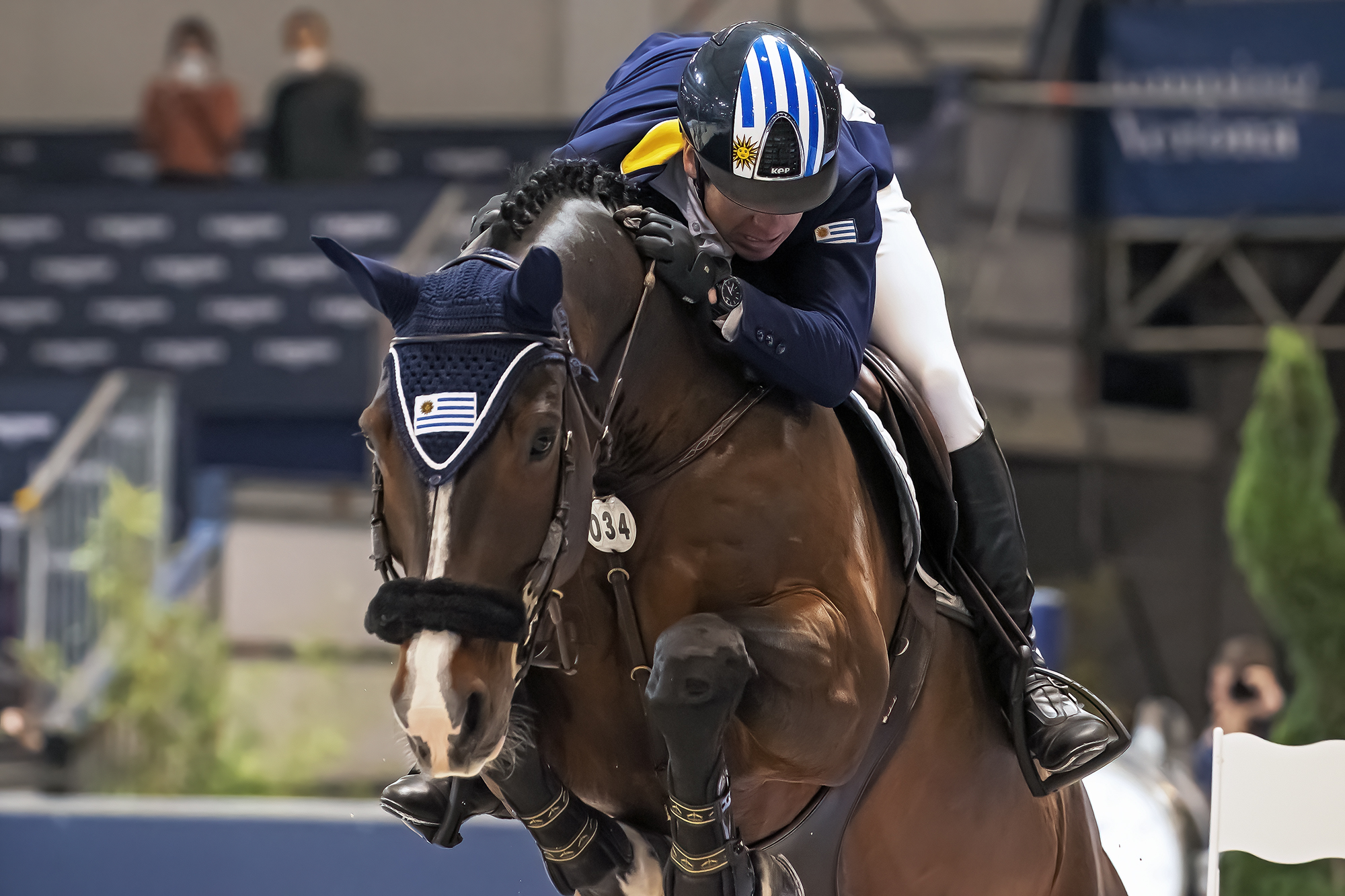 Jumping-Fiera Cavalli