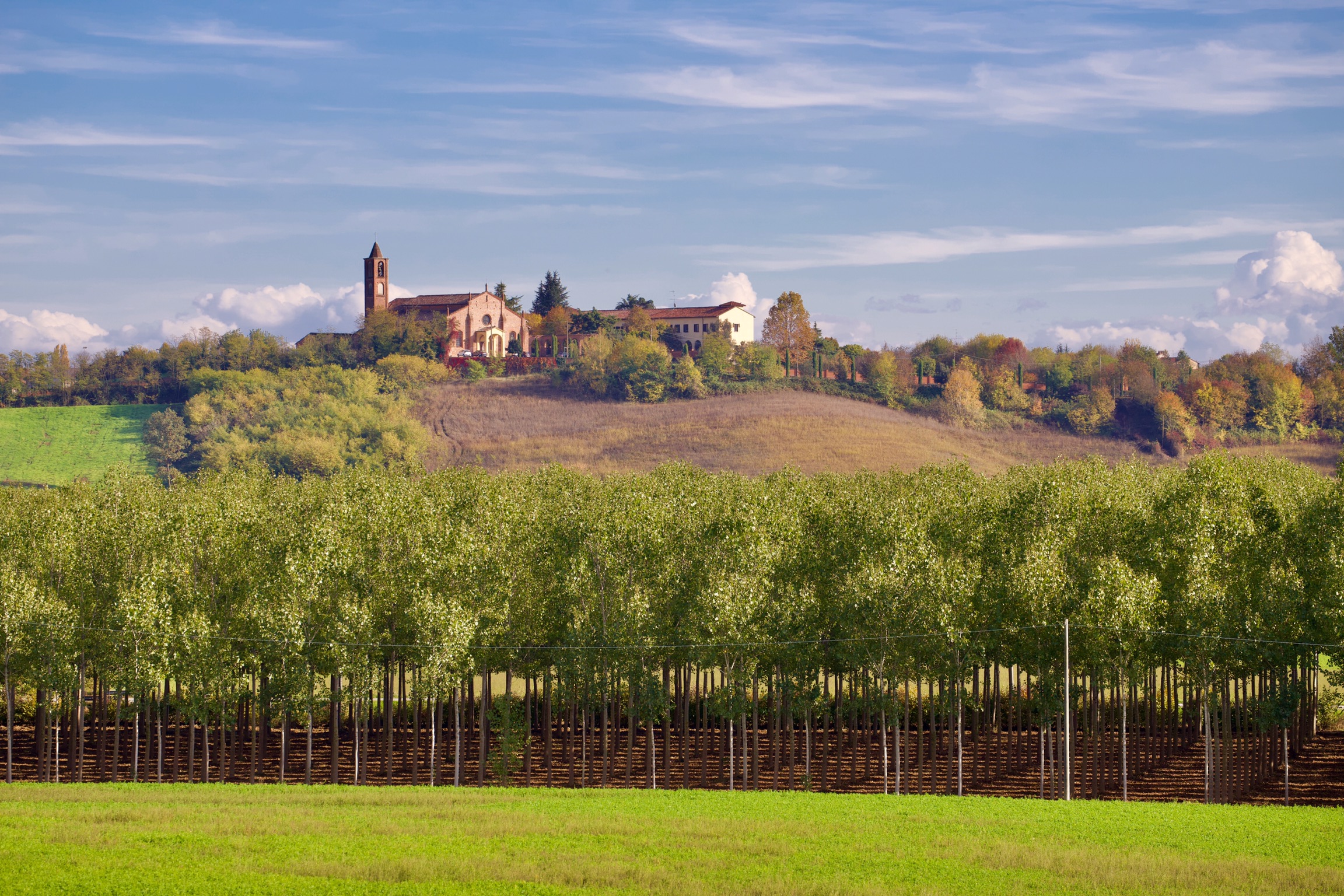 Conzano, chiesa di San Maurizio