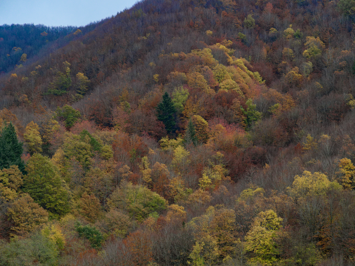 Emilia Romagna e Toscana