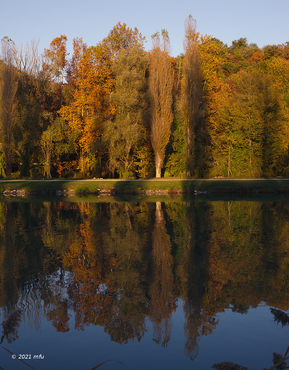 Autumn on the Mincio