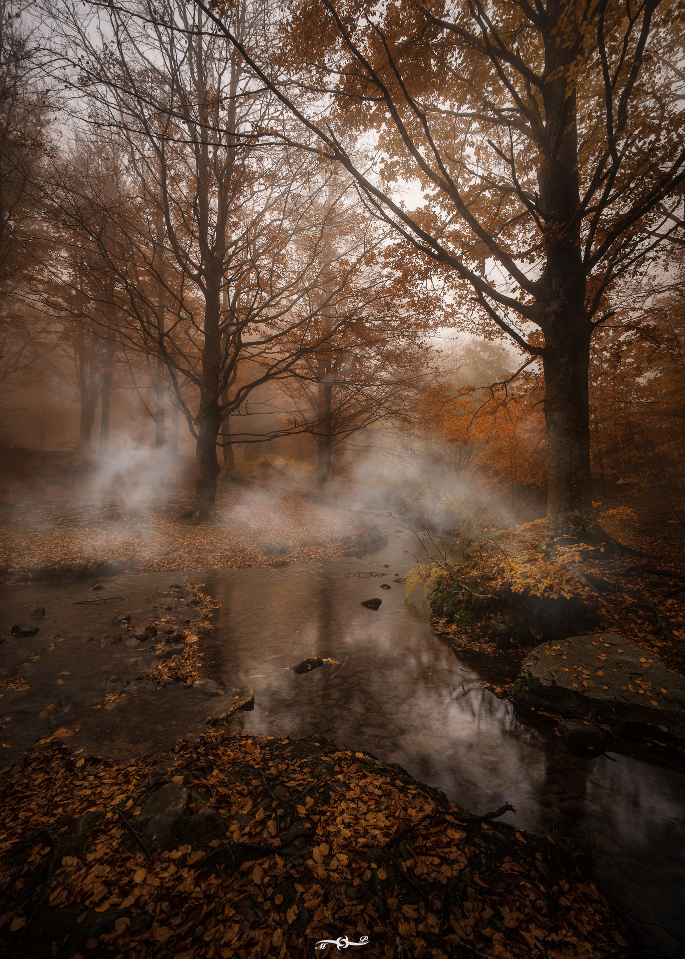 Untitled Photo