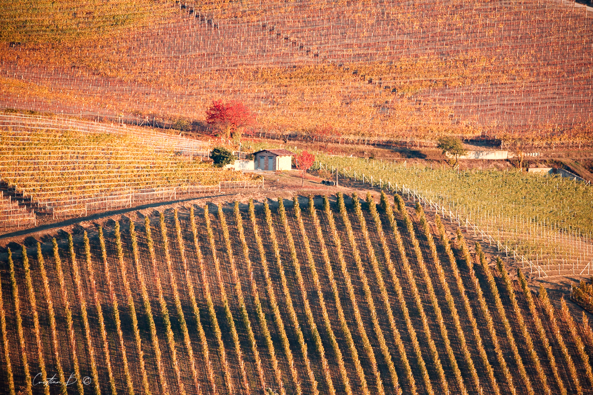 Langhe 5