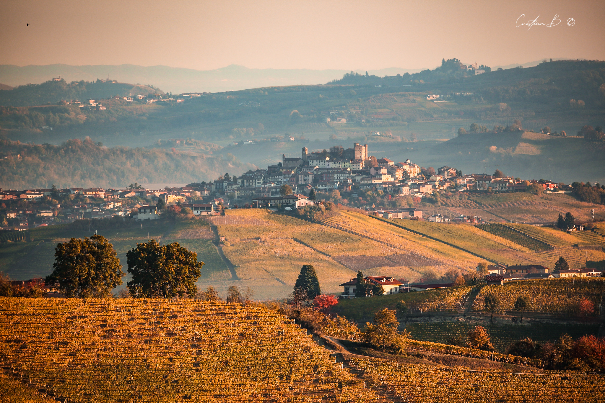 Langhe 7