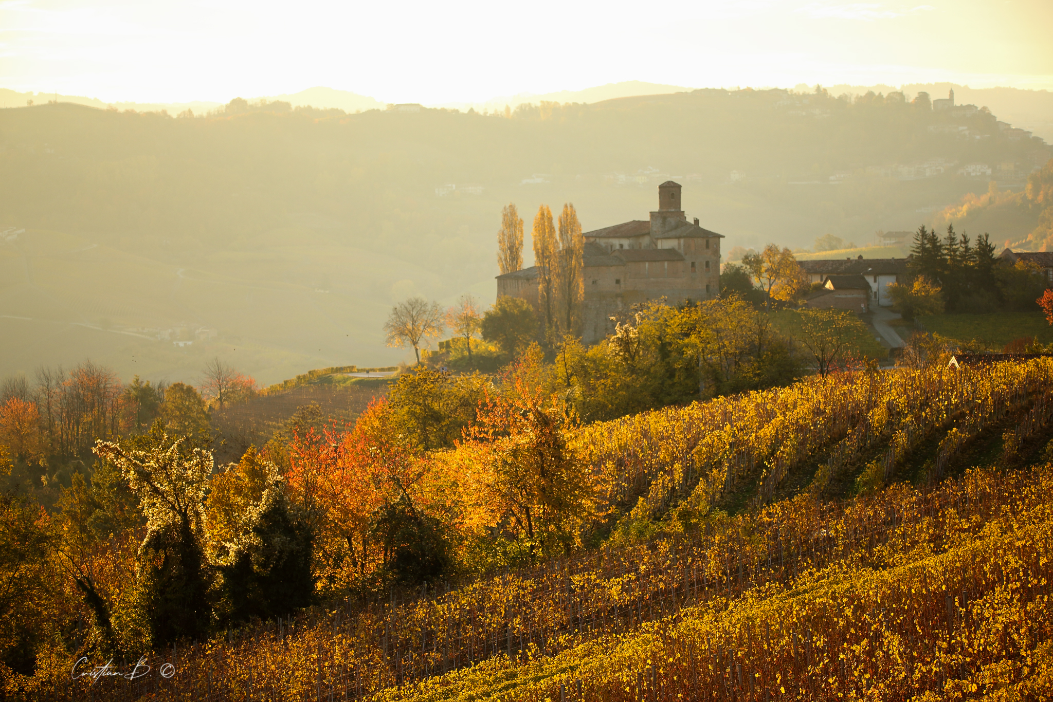 Langhe 9