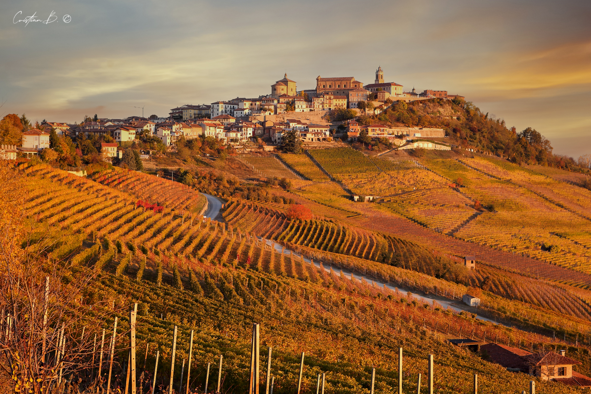 Langhe 18