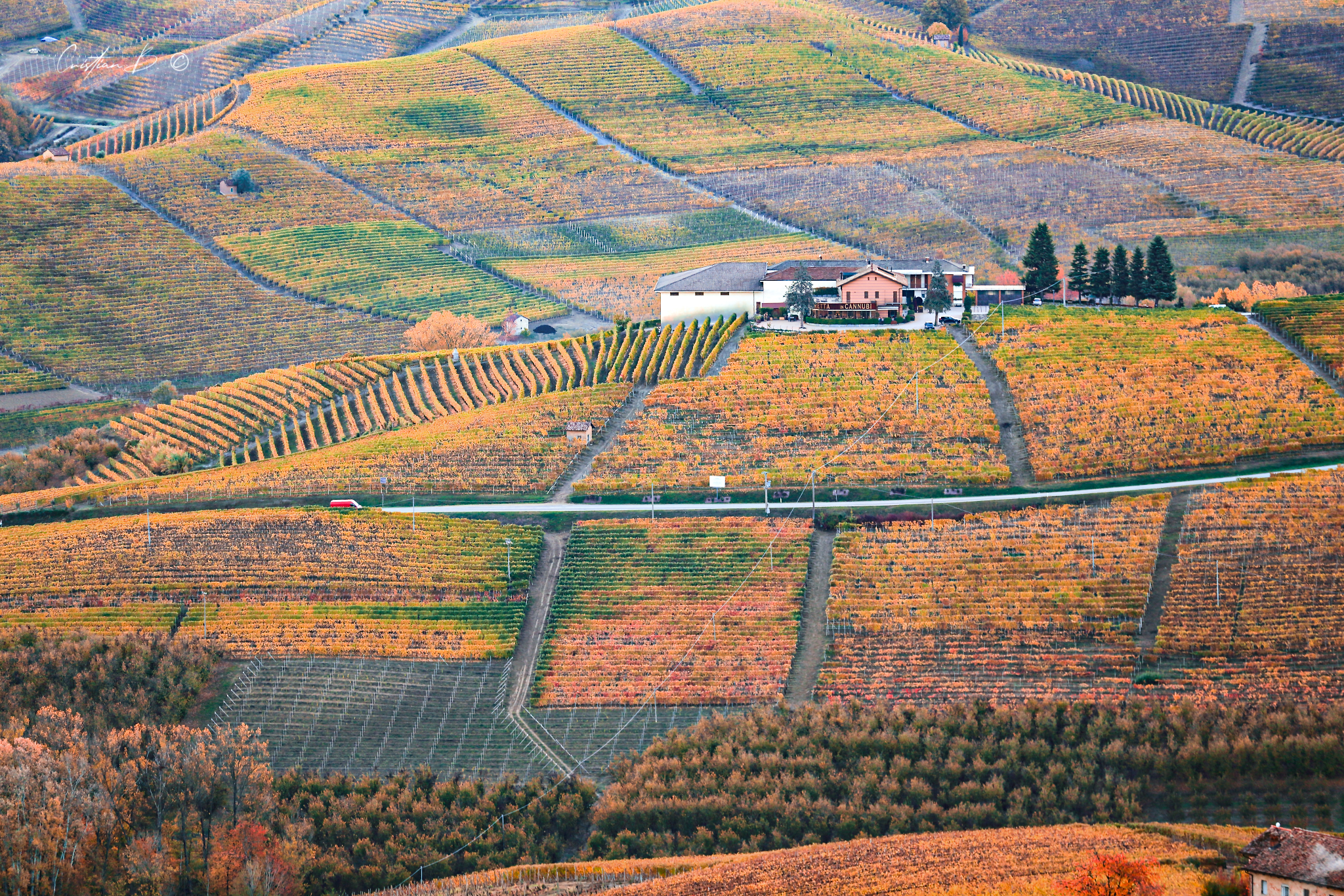 Langhe 19