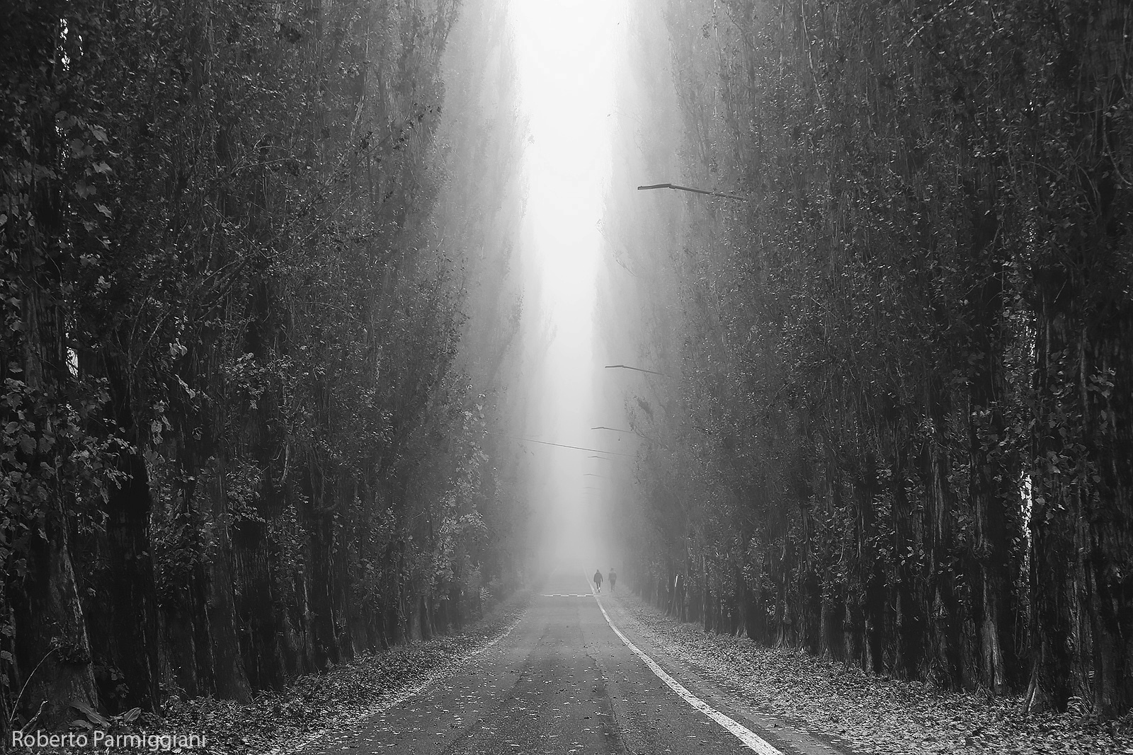 Strada verso il nulla