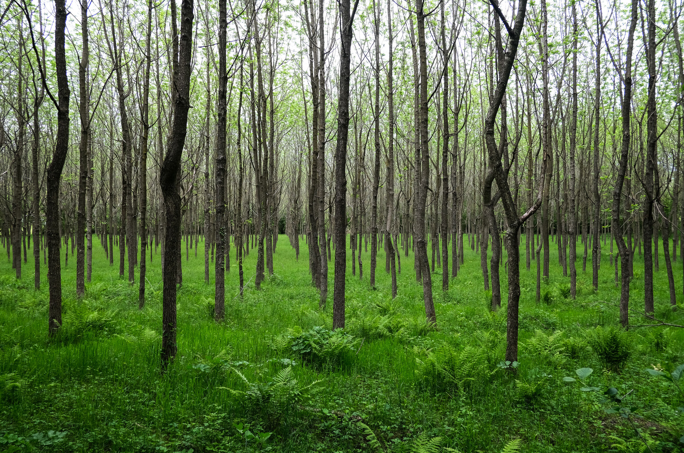 May 2021, Crosio della Valle