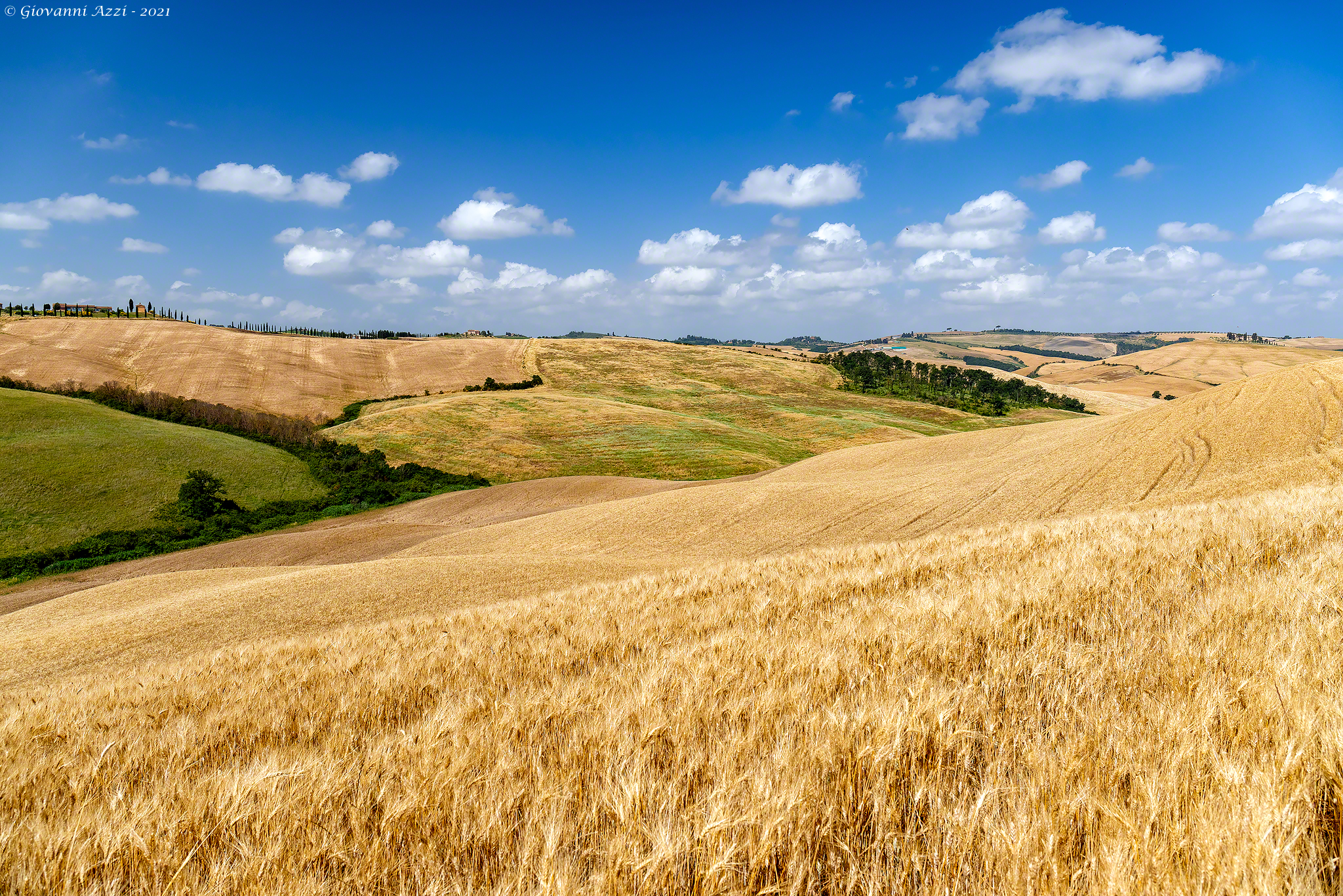 Summer on the Crete Senesi
