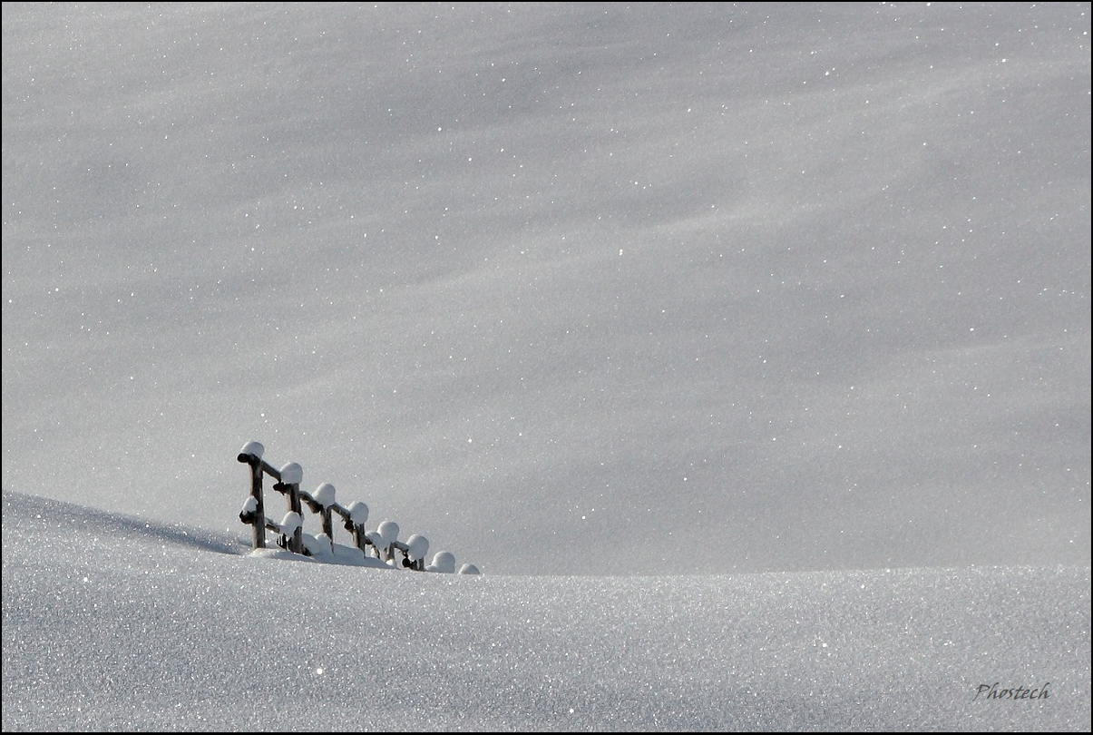 The silence and the fence