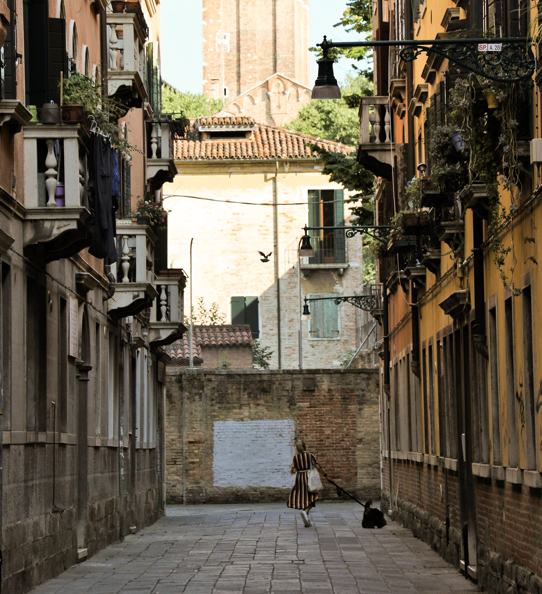 walking around Venice