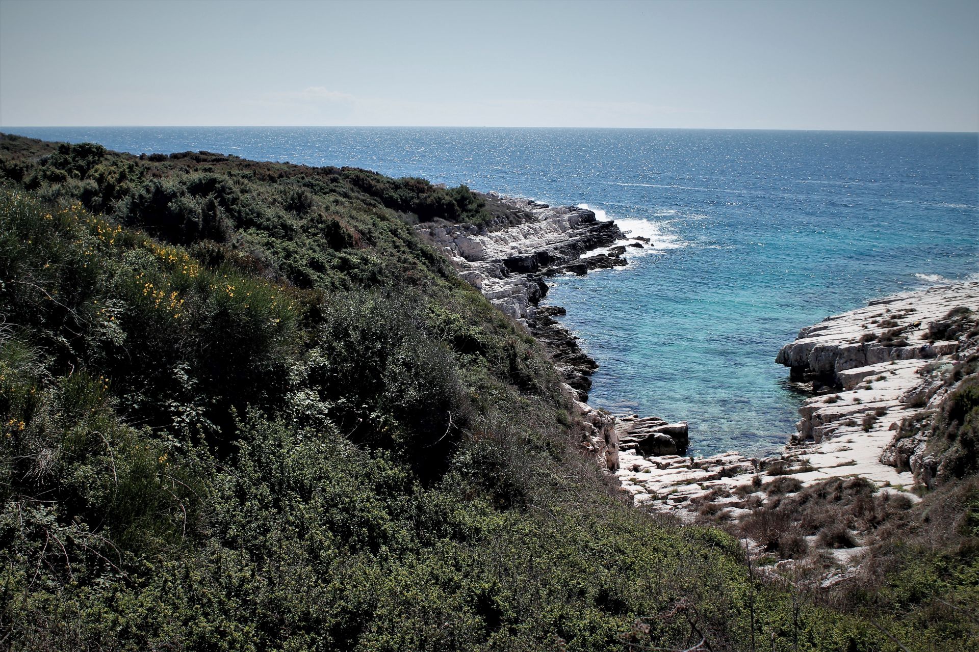 where the sea glitters and the wind blows strongly ........