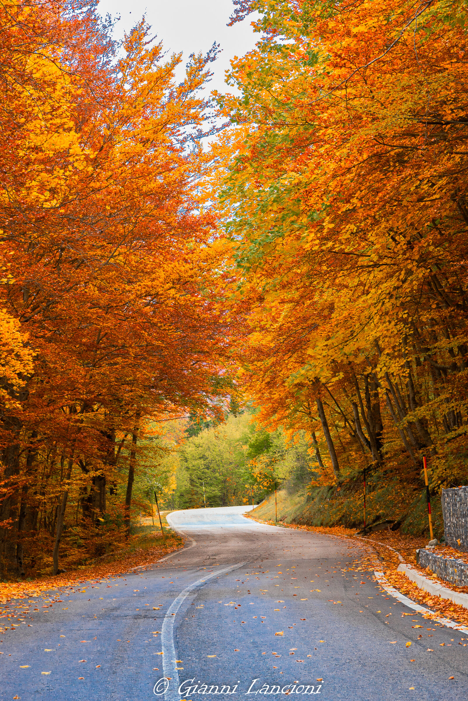 La strada dei colori