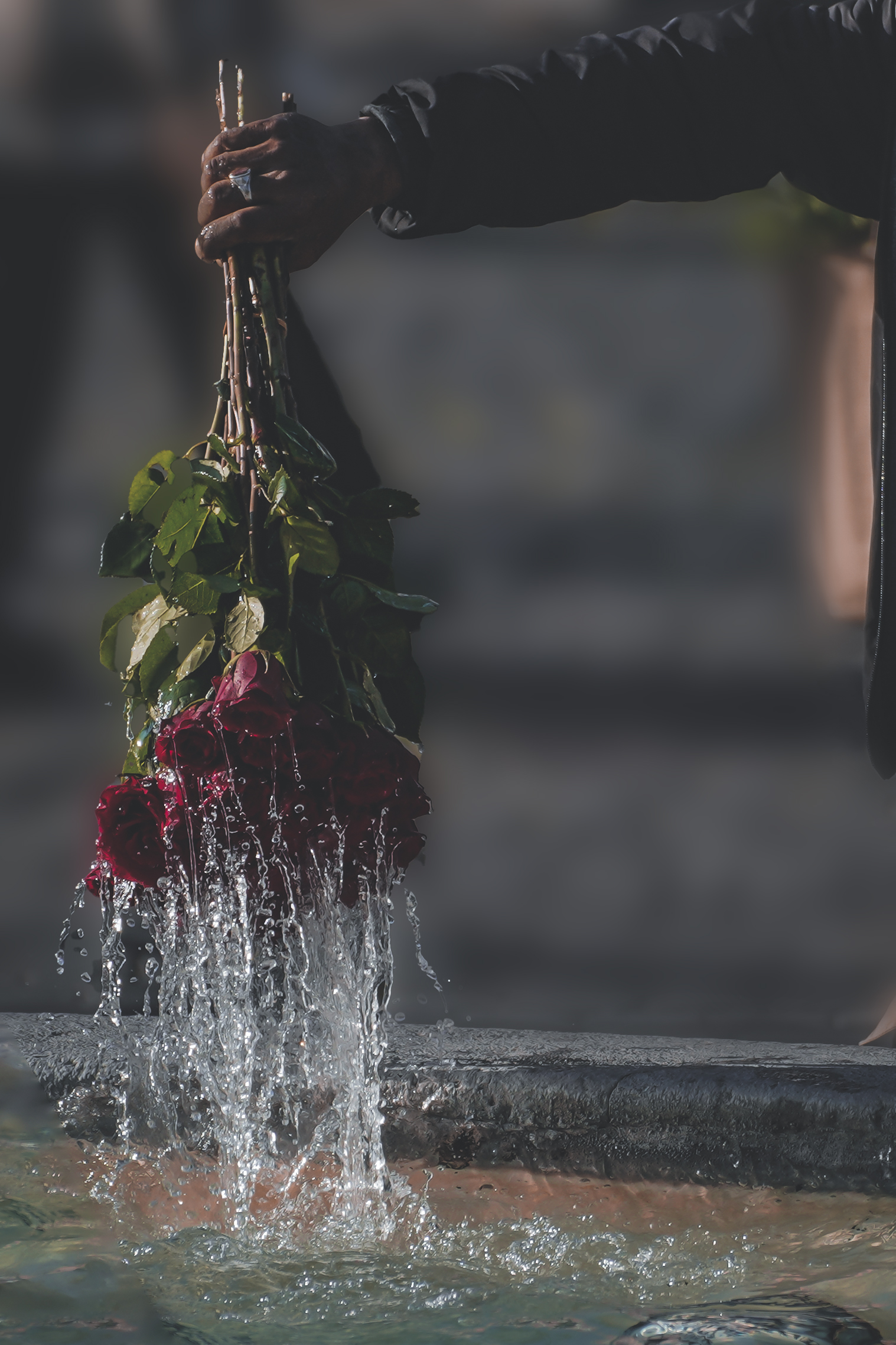 Waterfall of roses.......