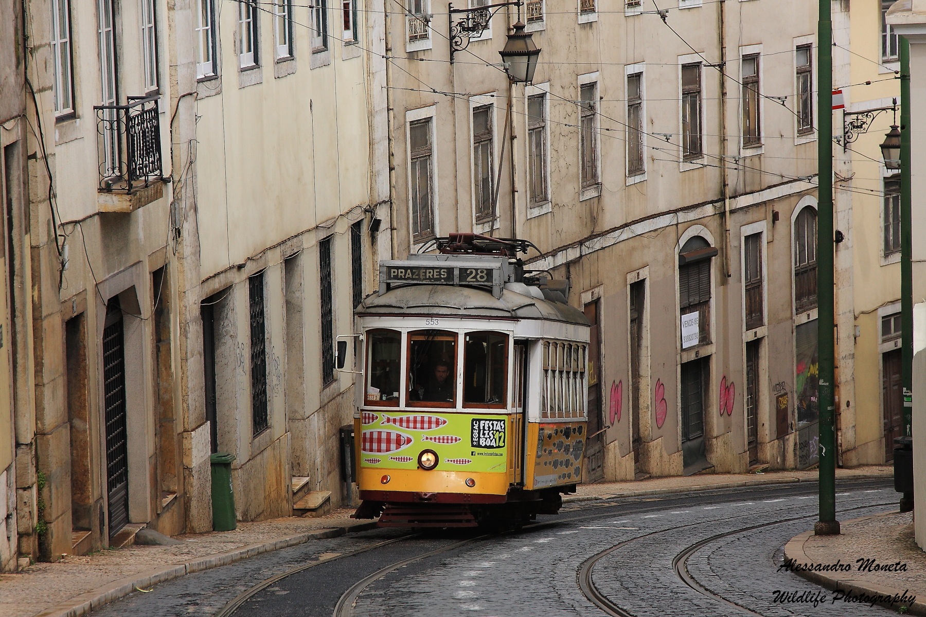 The "28" in Lisbon
