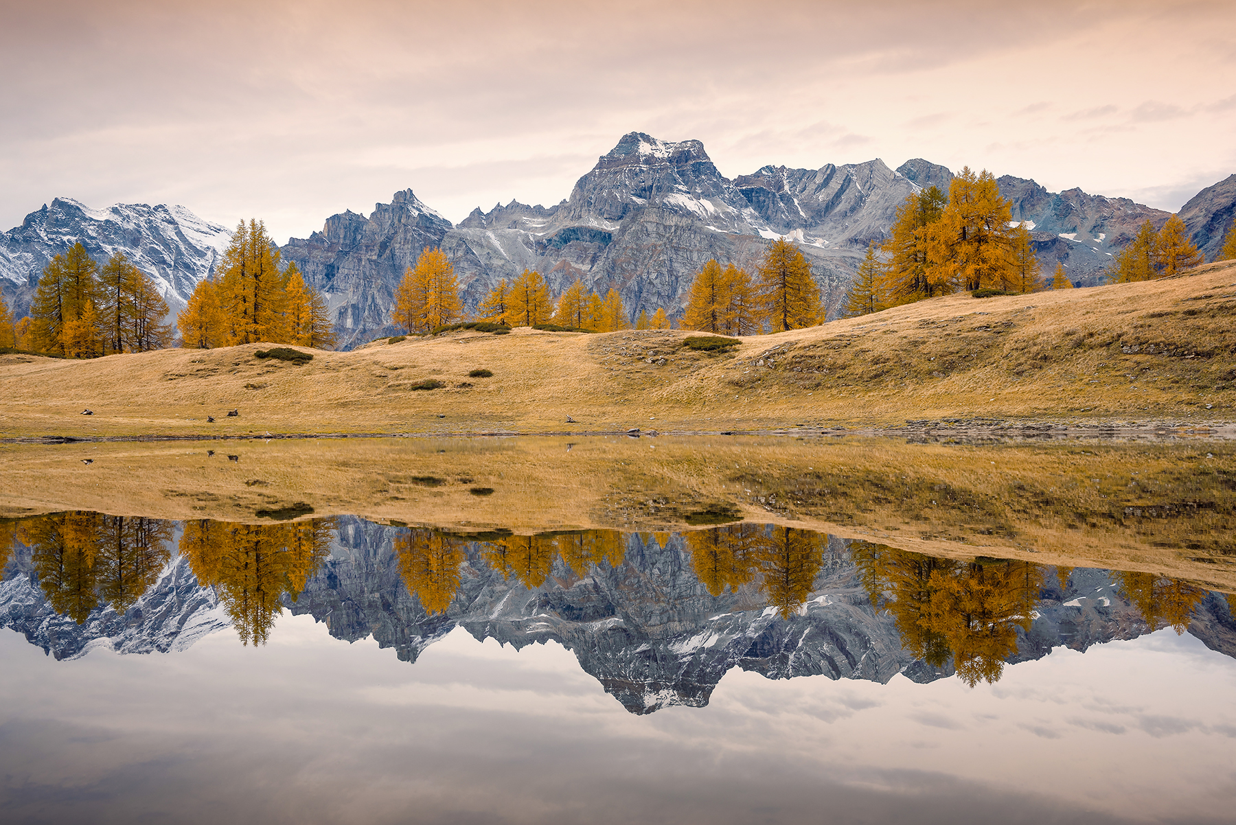 Sangiatto allo specchio