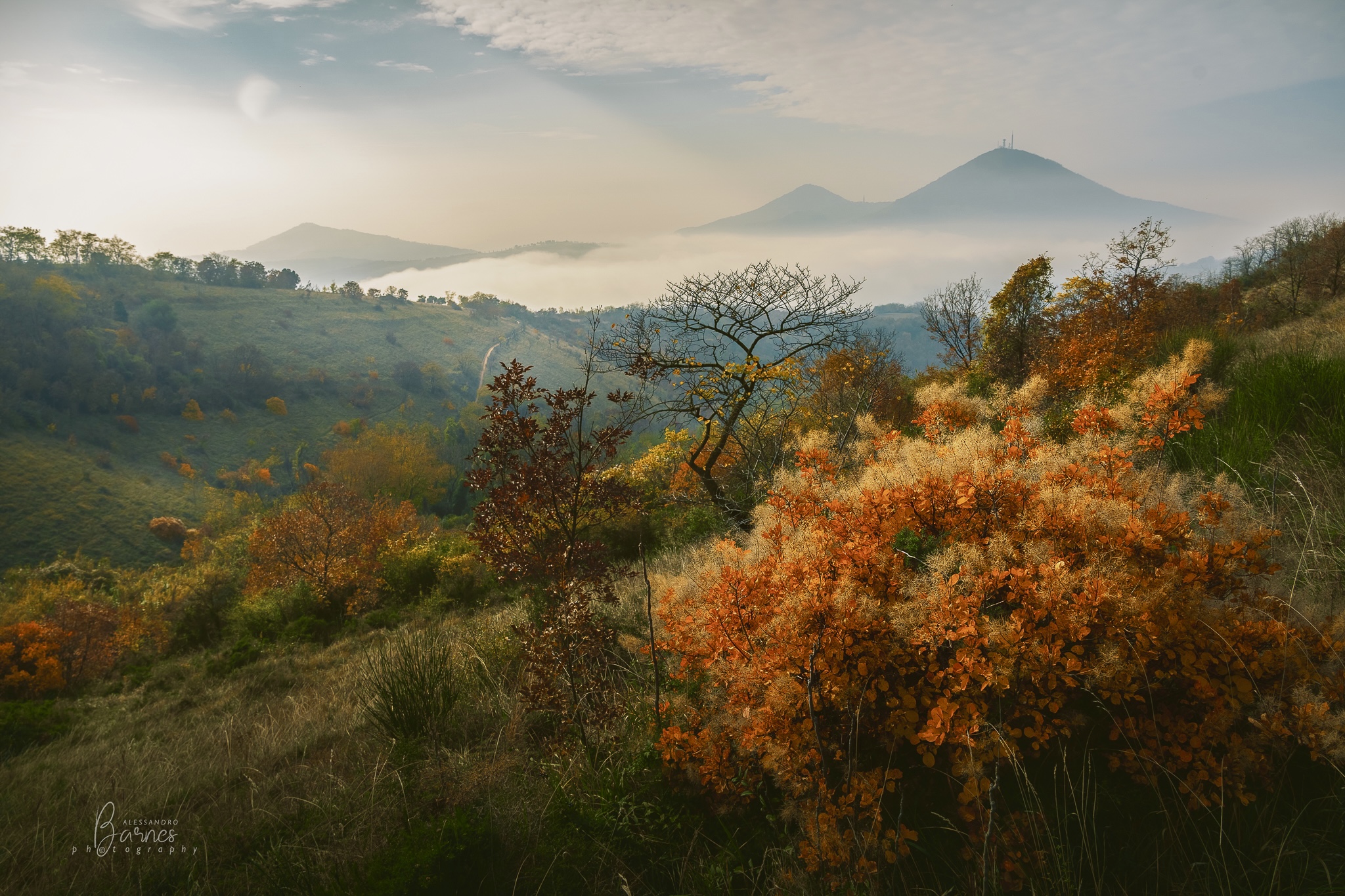 Colli Euganei -Padova-