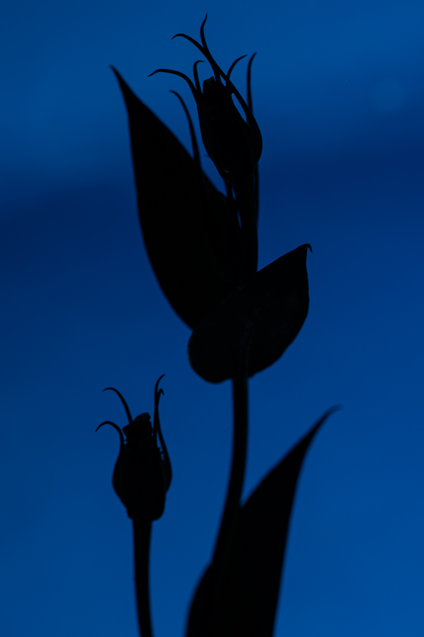 esposizione a sinistra tutta