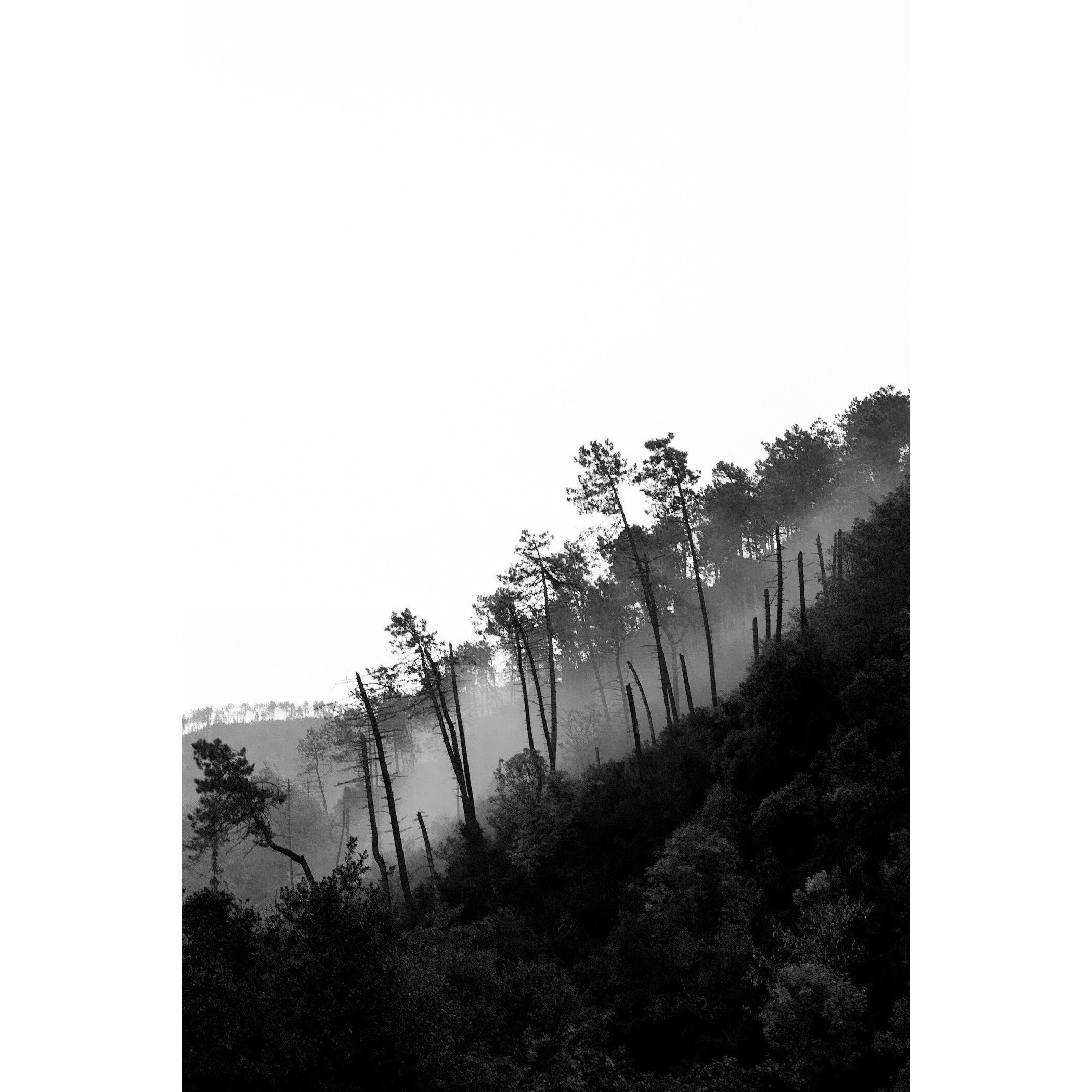 Untitled Photo