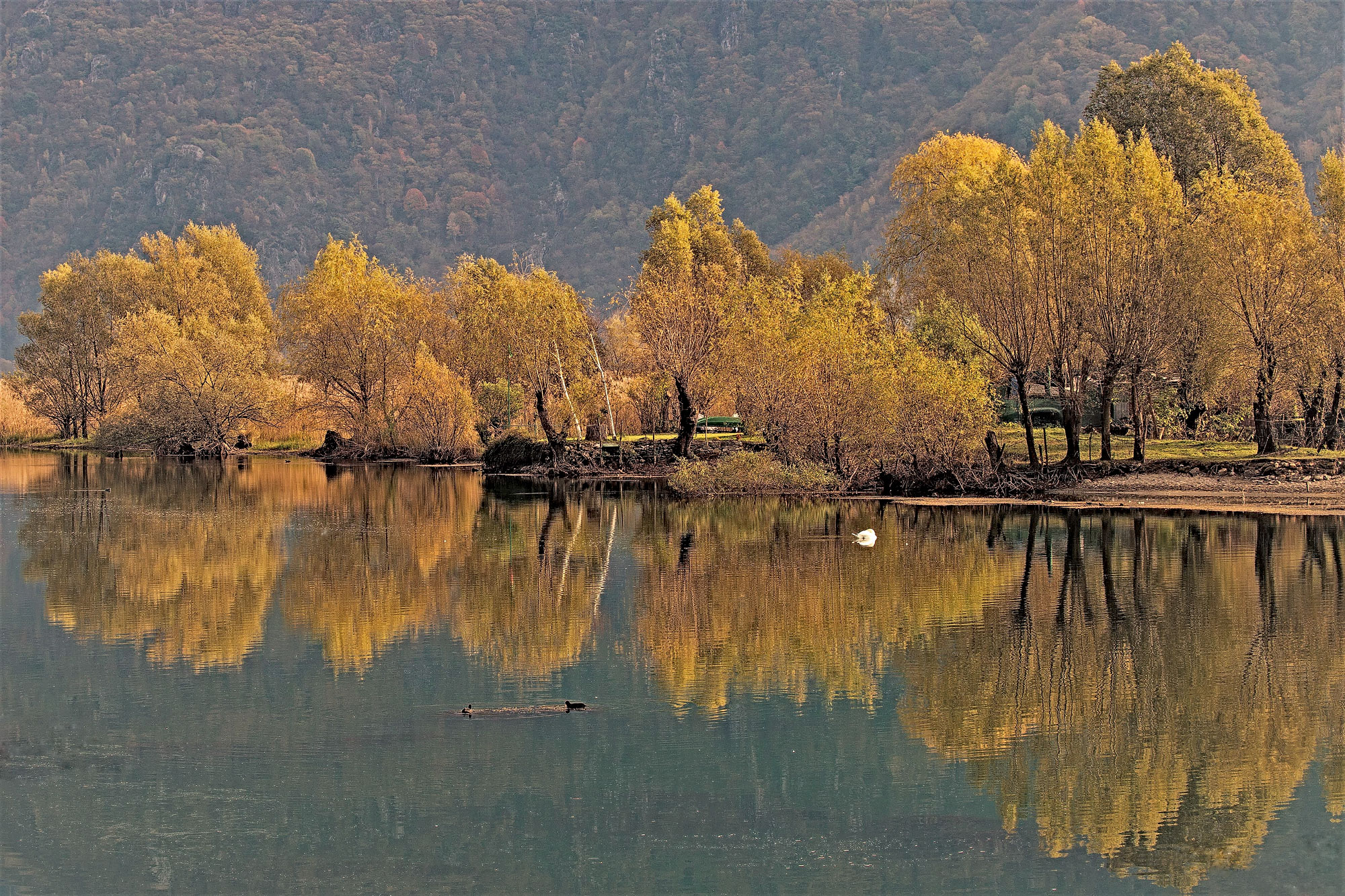 Autunno al ponte del Passo