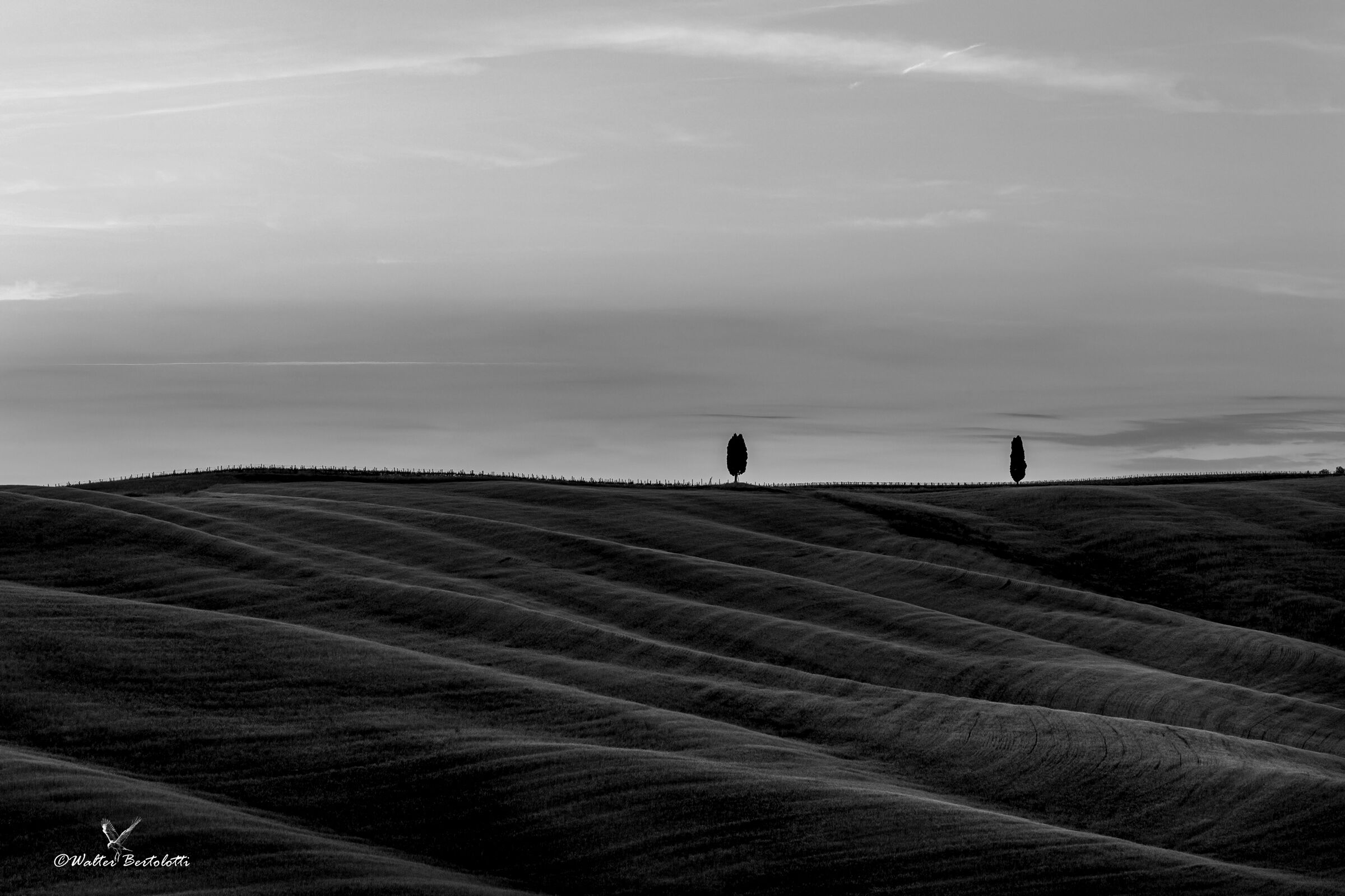 contrasti d'ombre e luci