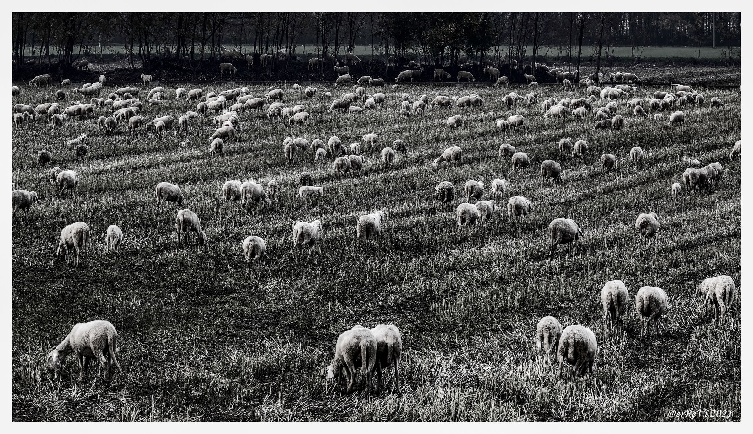 Ecological sleeping pills