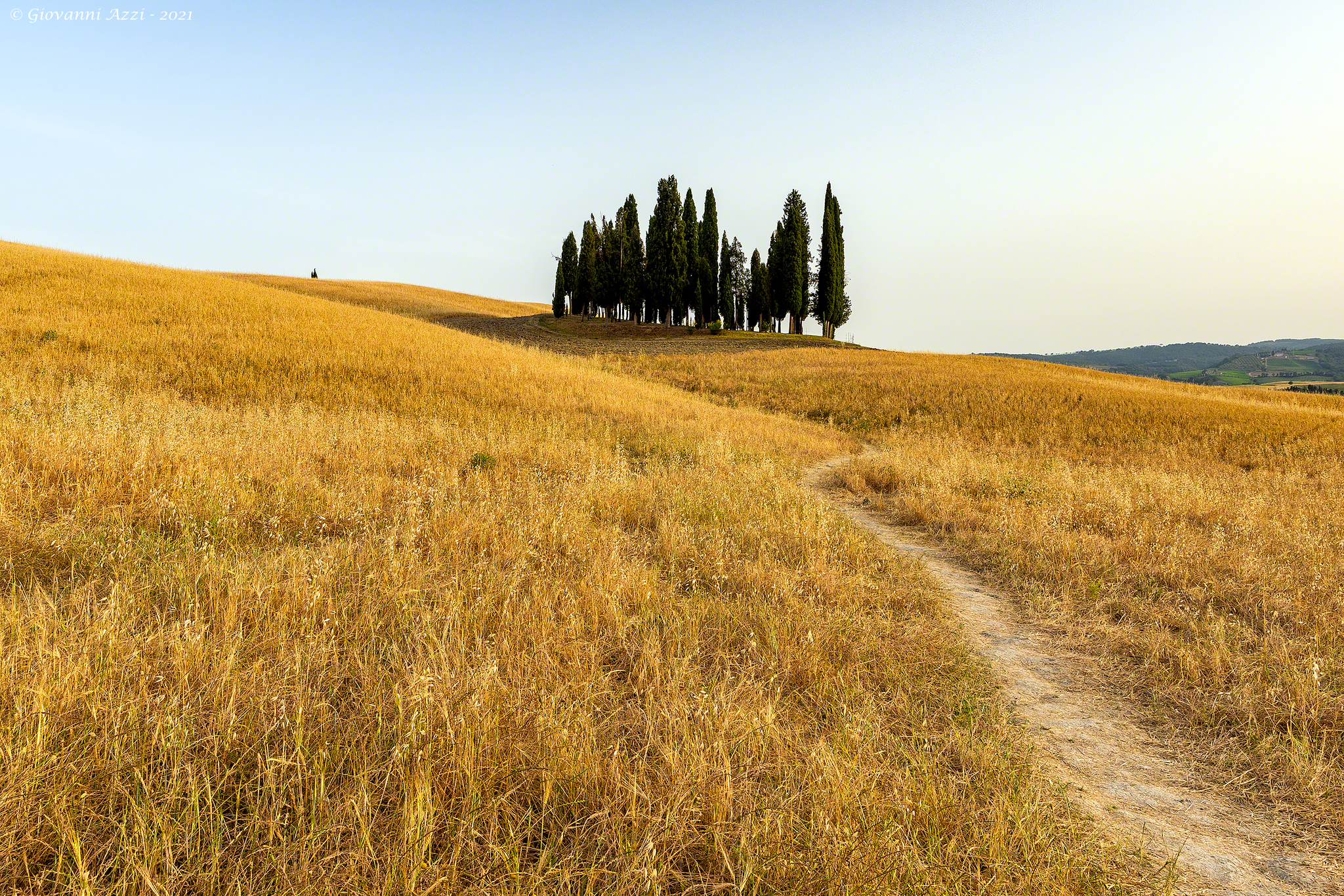 Towards cypresses