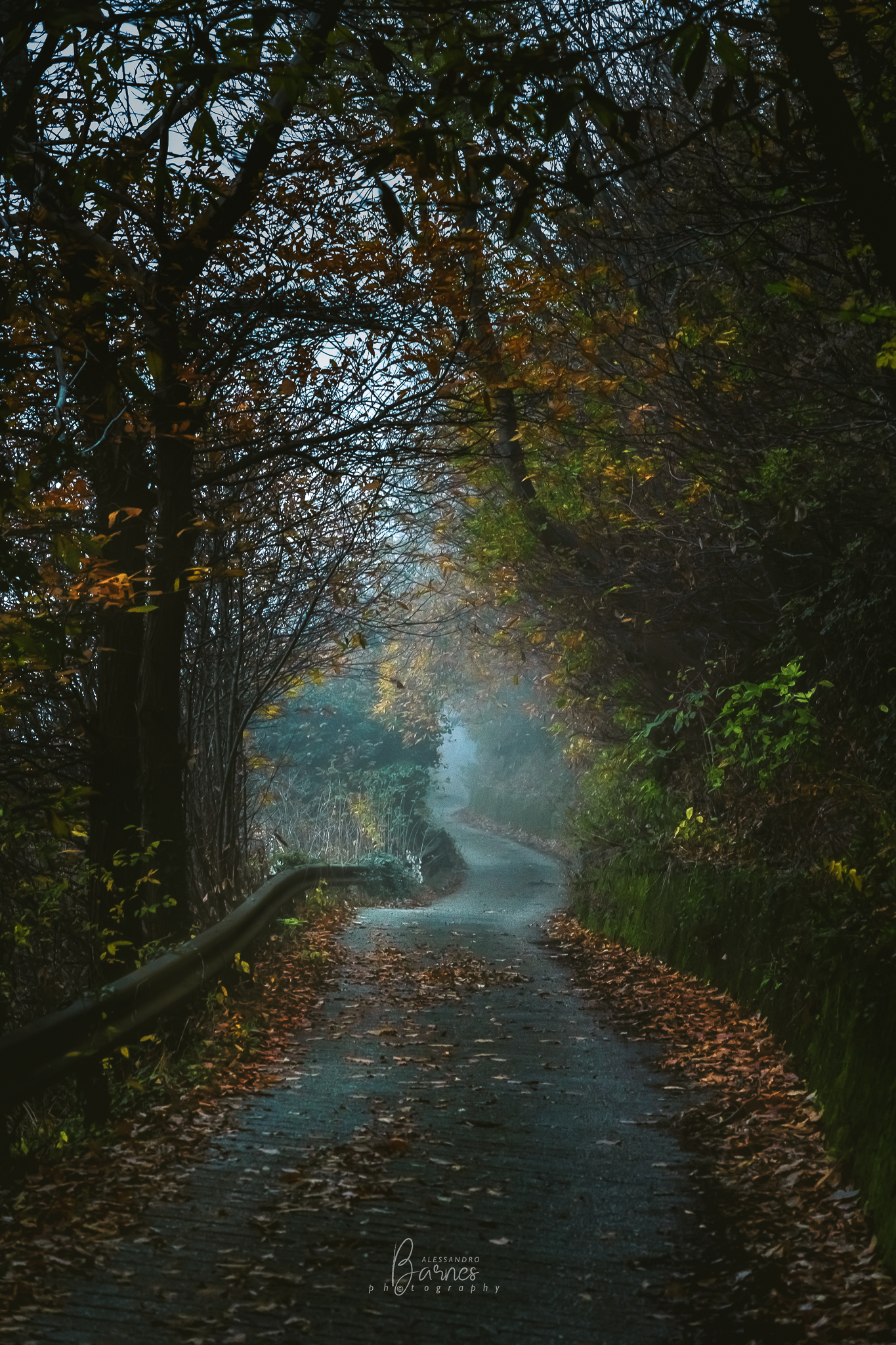 Monte Cero colli Euganei Padova