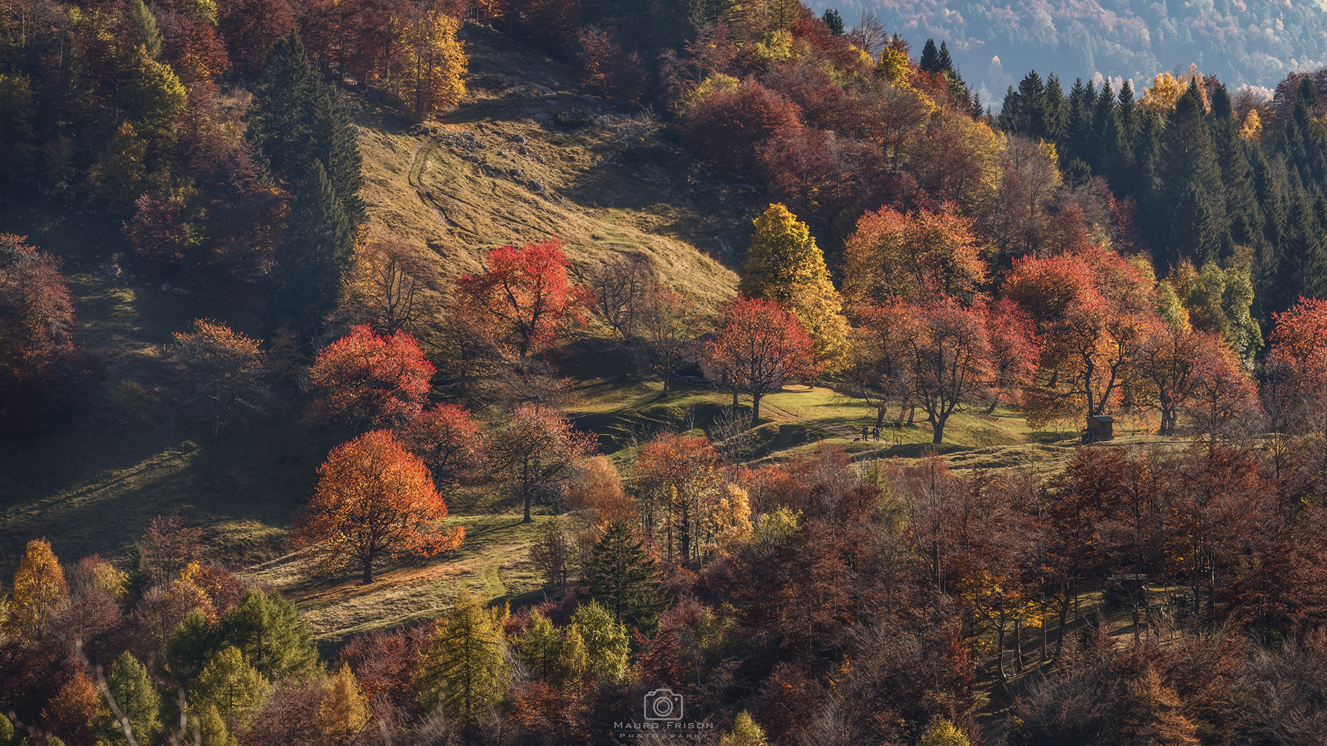 Colori d'autunno