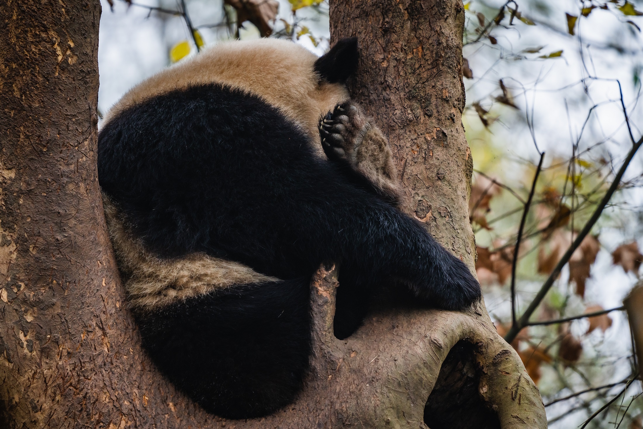 Please, do not disturb.