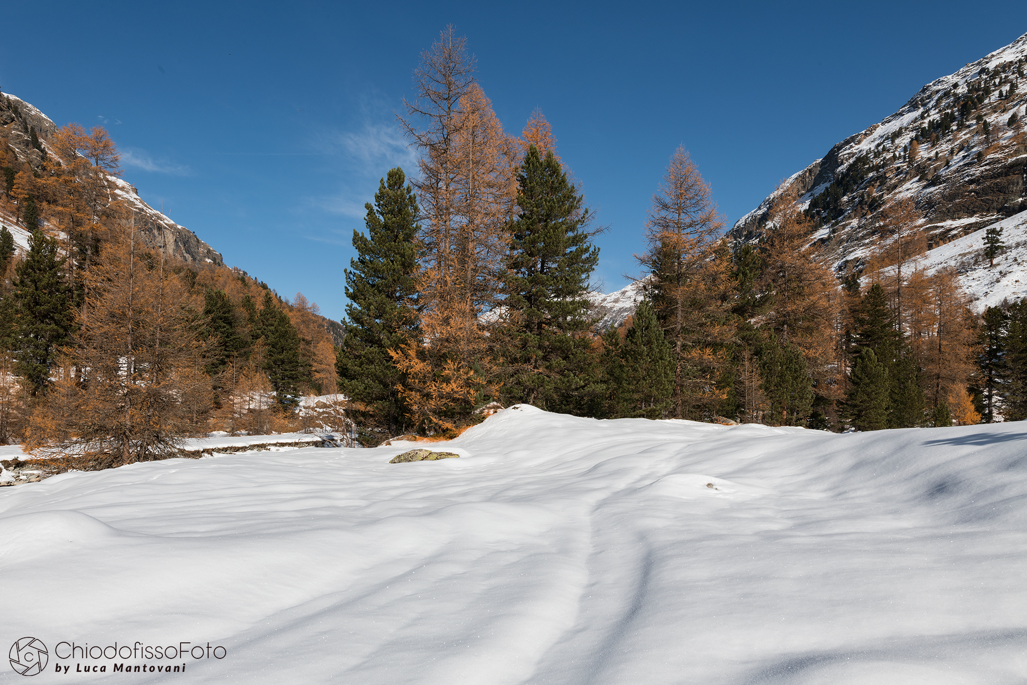 Ultimi giorni d'autunno