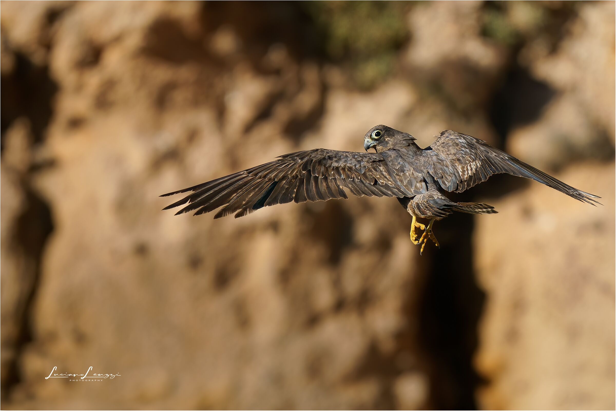 On the fly.. together