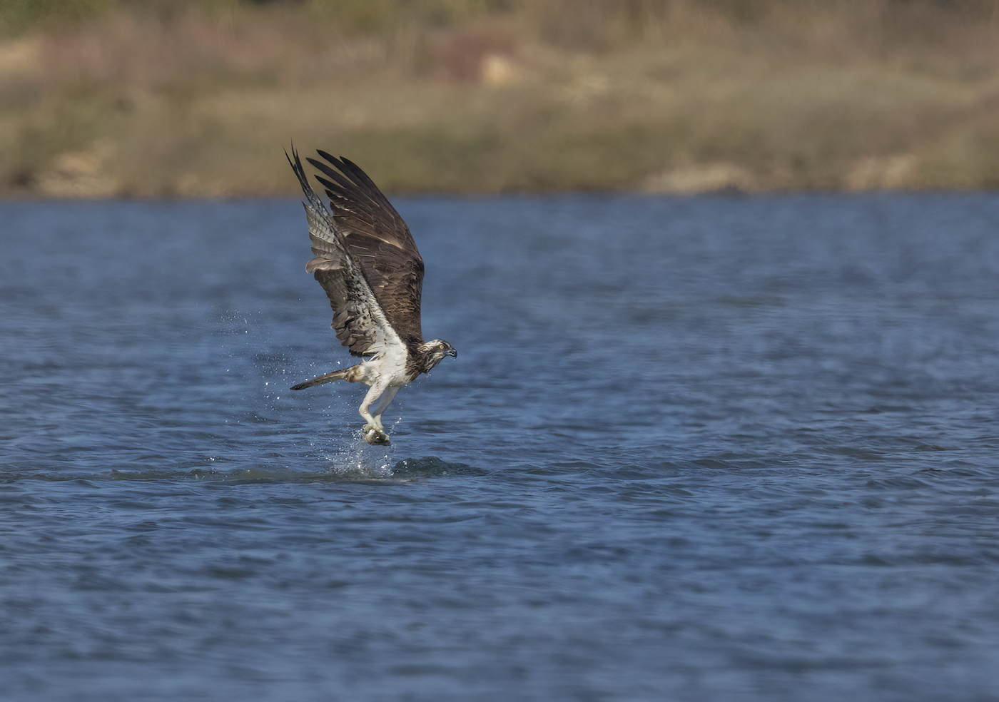preso..... lontanissimo