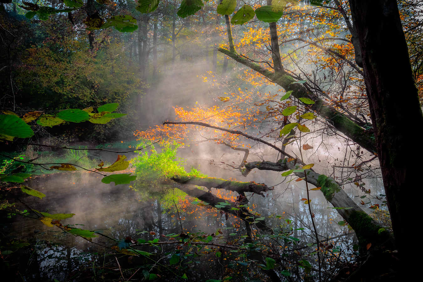 Quando la luce accende i colori