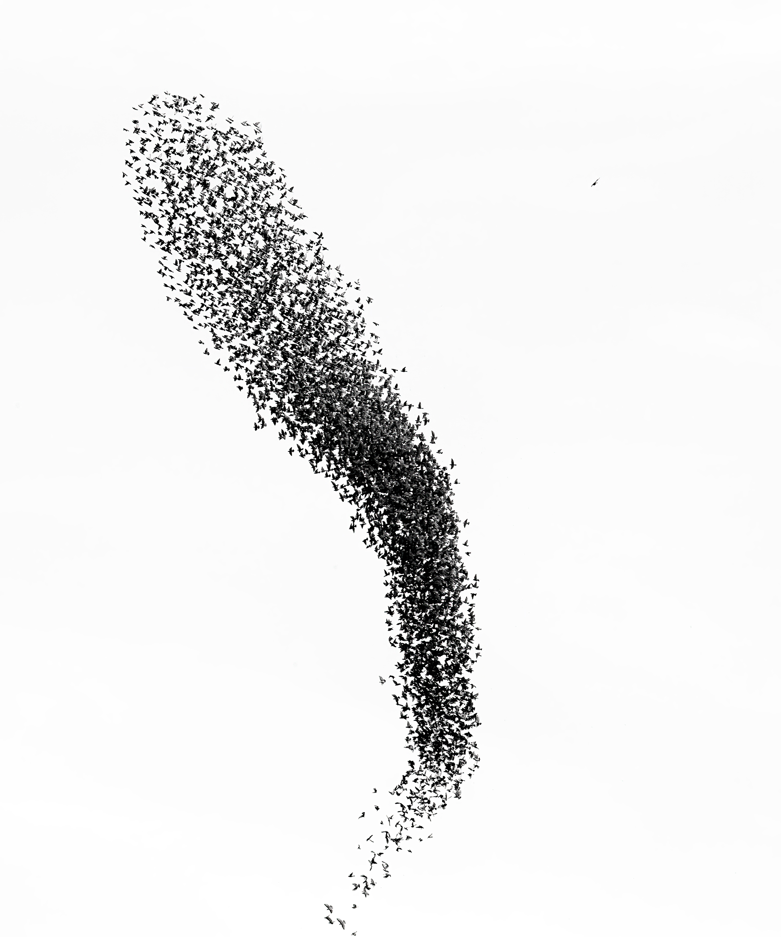 Tornado