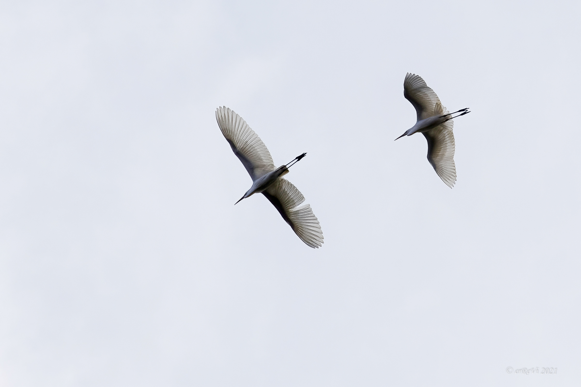 Mayday, mayday, flap failure...