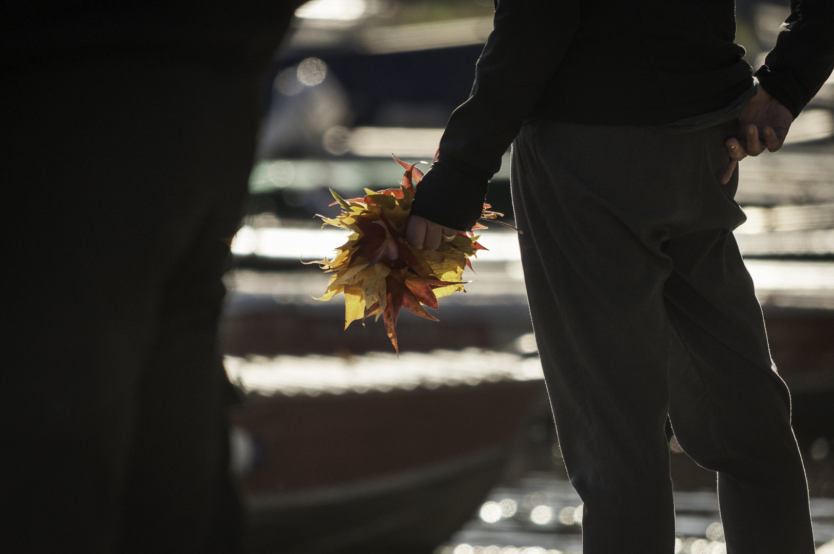 Take autumn for what it is