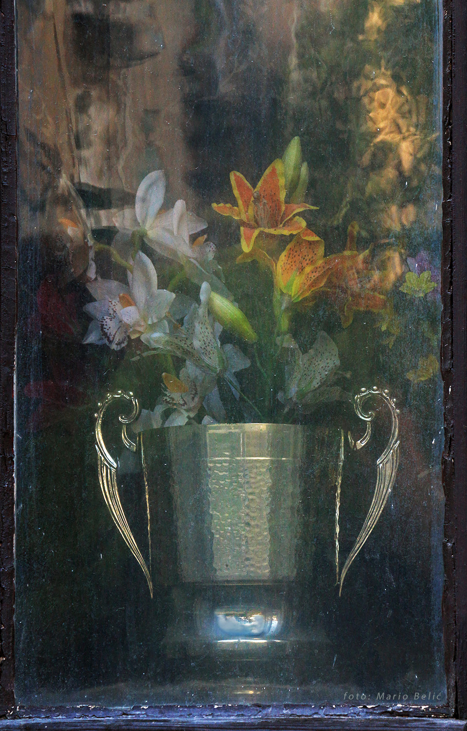 Flowers in the window