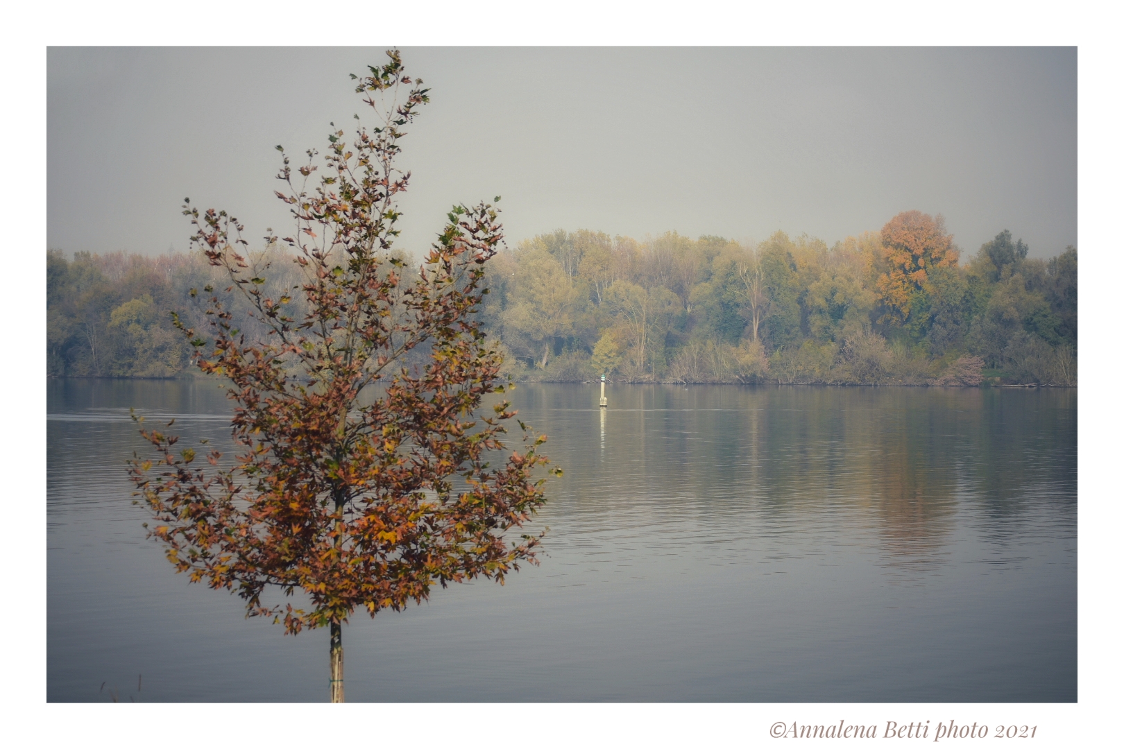 Sulle rive del Mincio