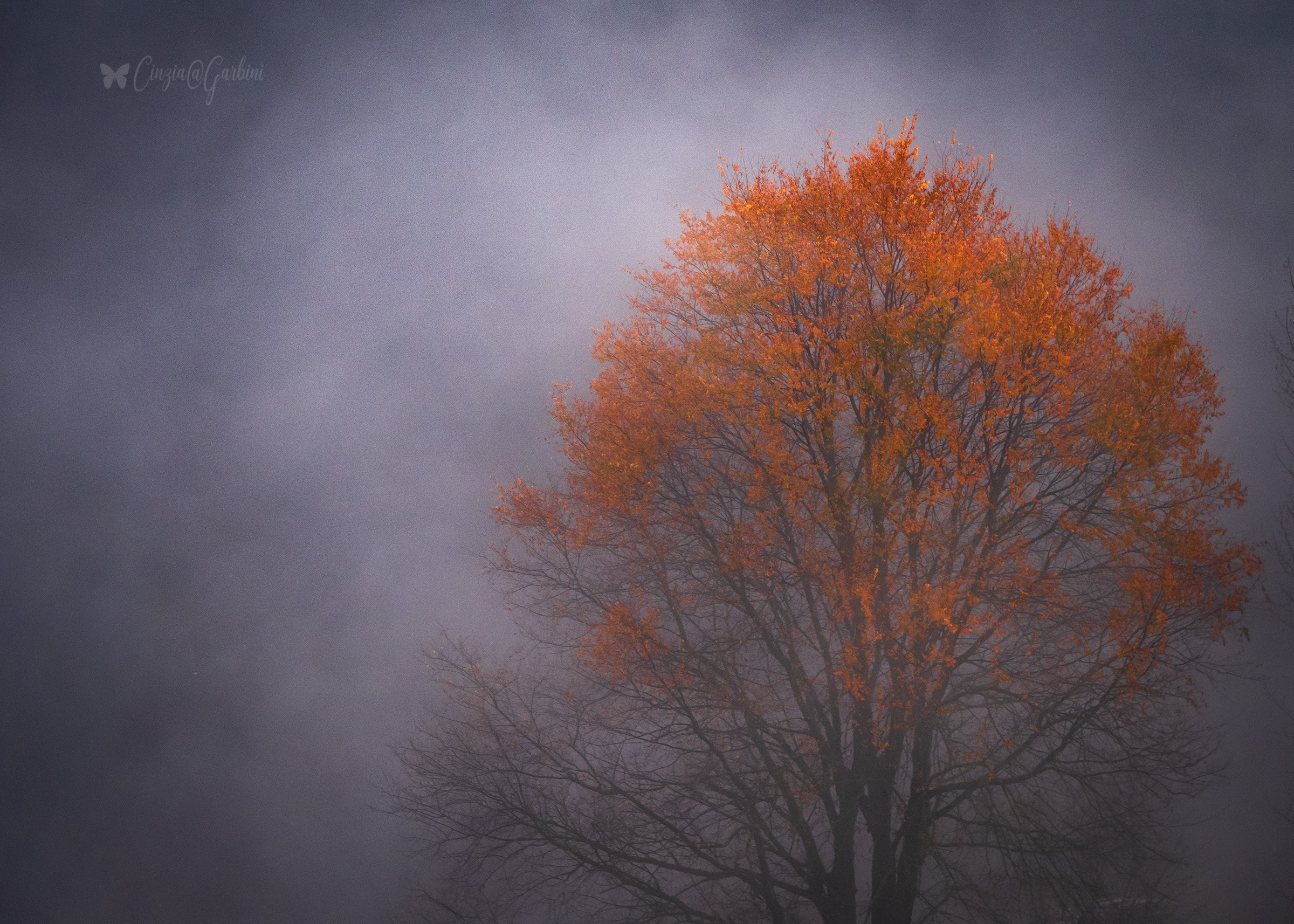 mystic autumn
