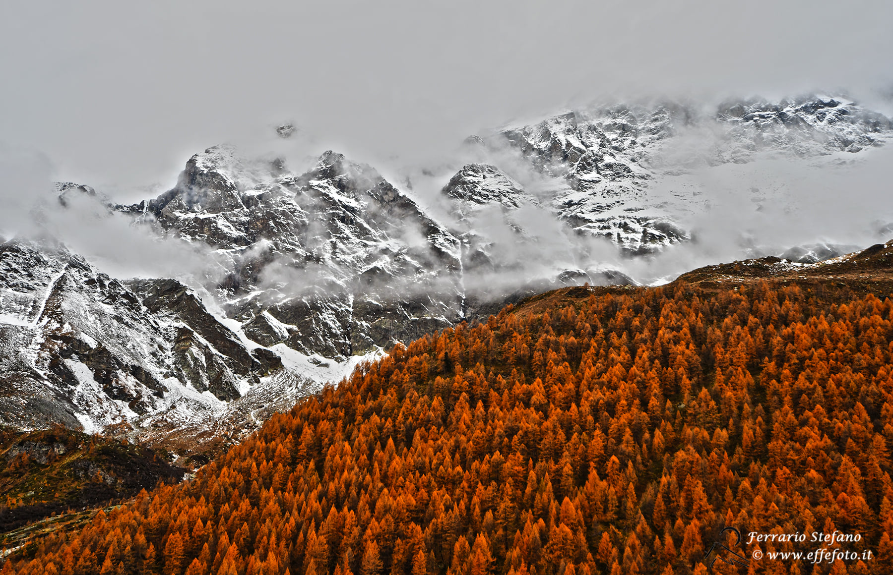 Autumn vs Winter