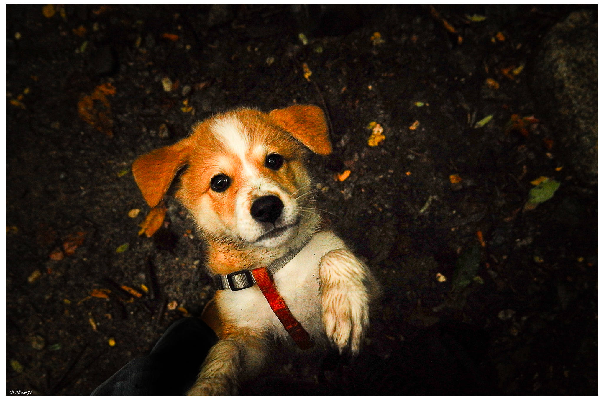 do you take me in your arms ?